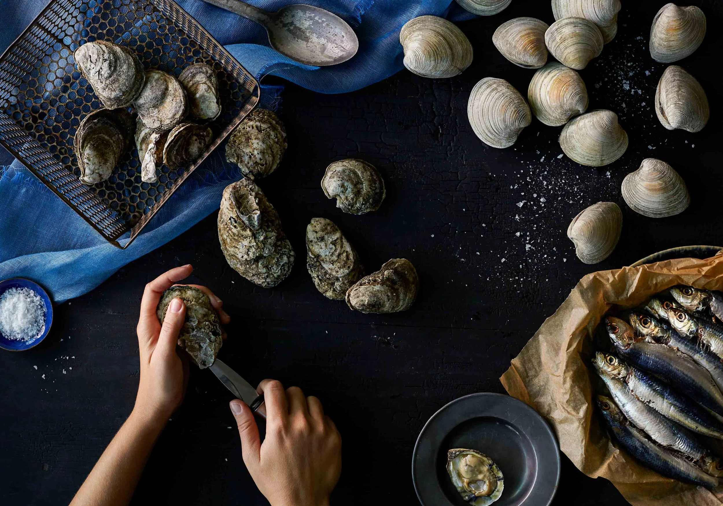3_moodyseafood__stilllife_shellfishsardines_web.jpg