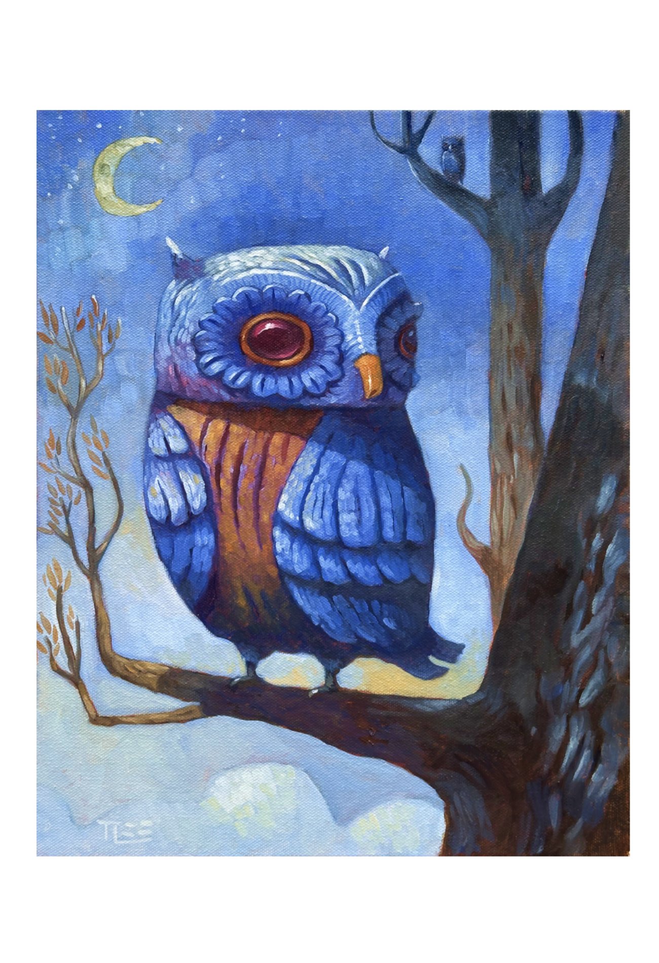 Nite Owl