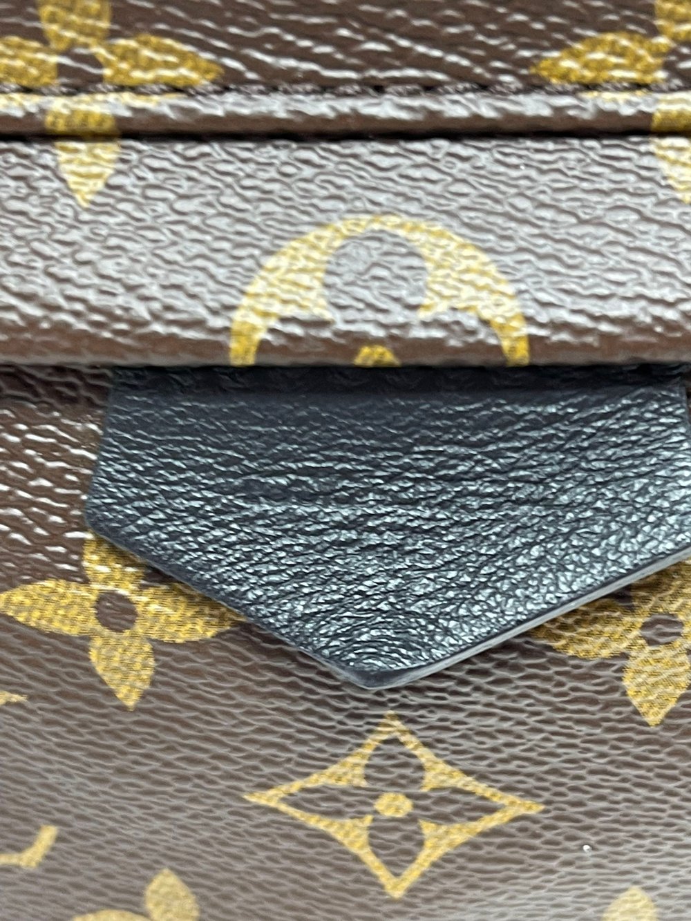 LOUIS VUITTON DISCOVERY BACKPACK — Sceptre & Sash
