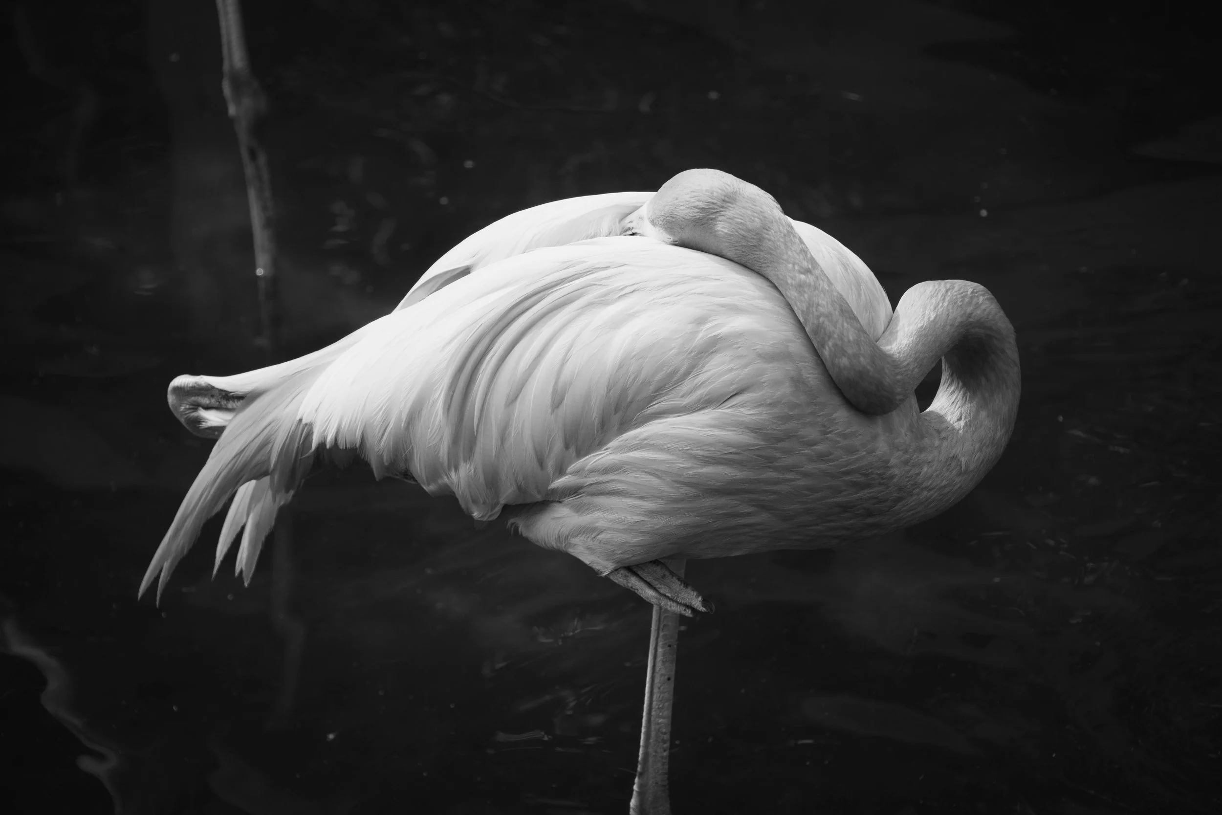 IMG_0672.jpg