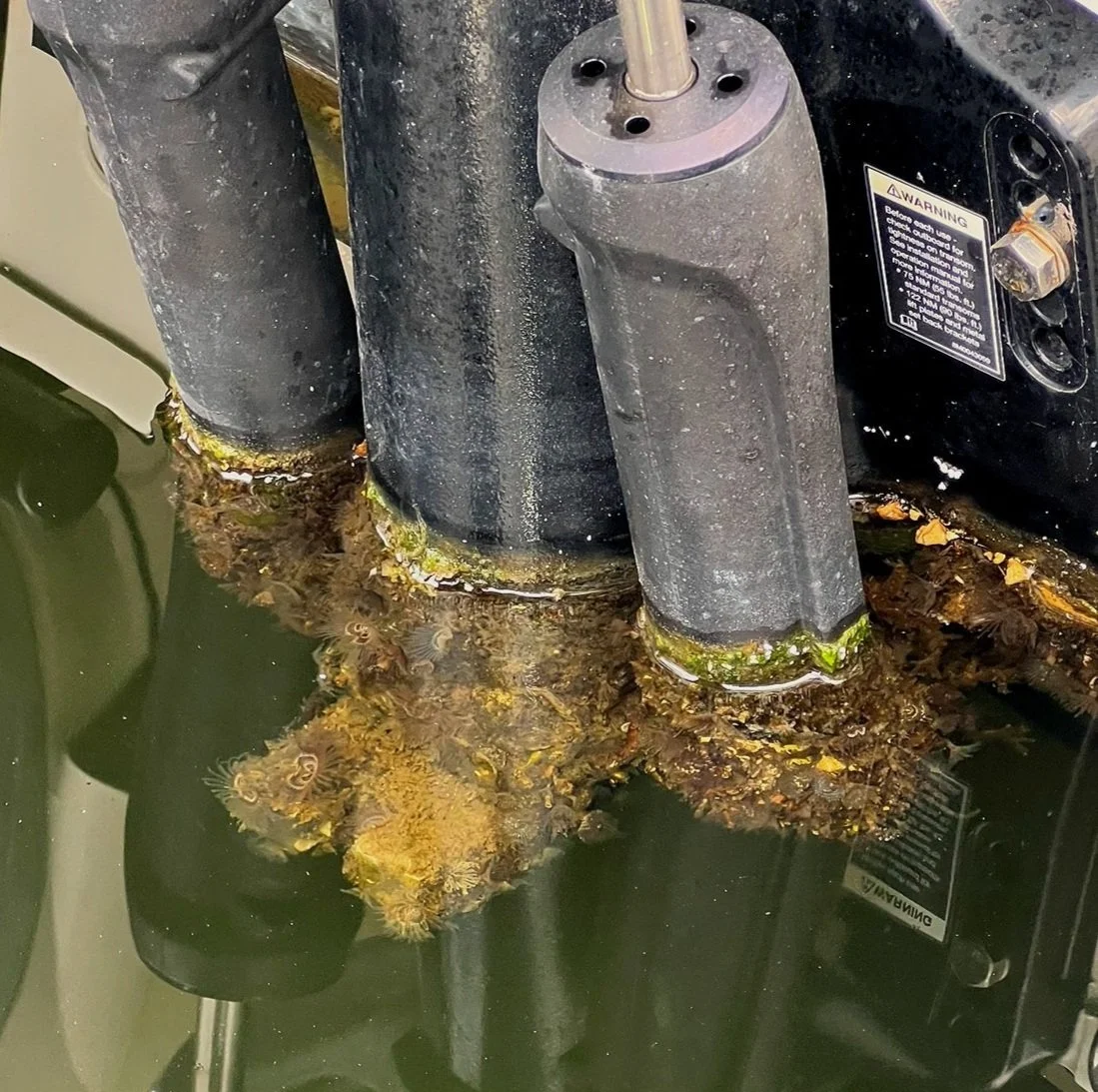 Before - Neglected Hull Cleaning