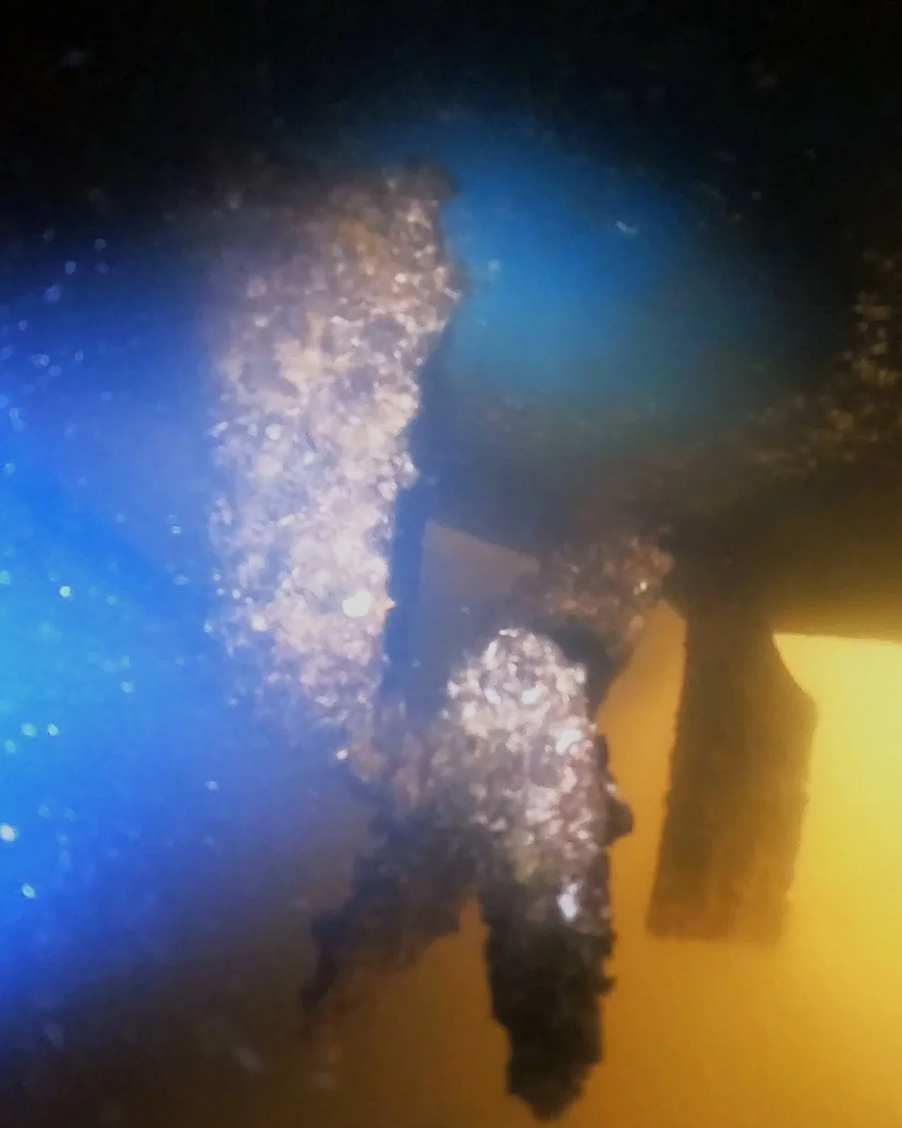 Before - Neglected Hull Cleaning