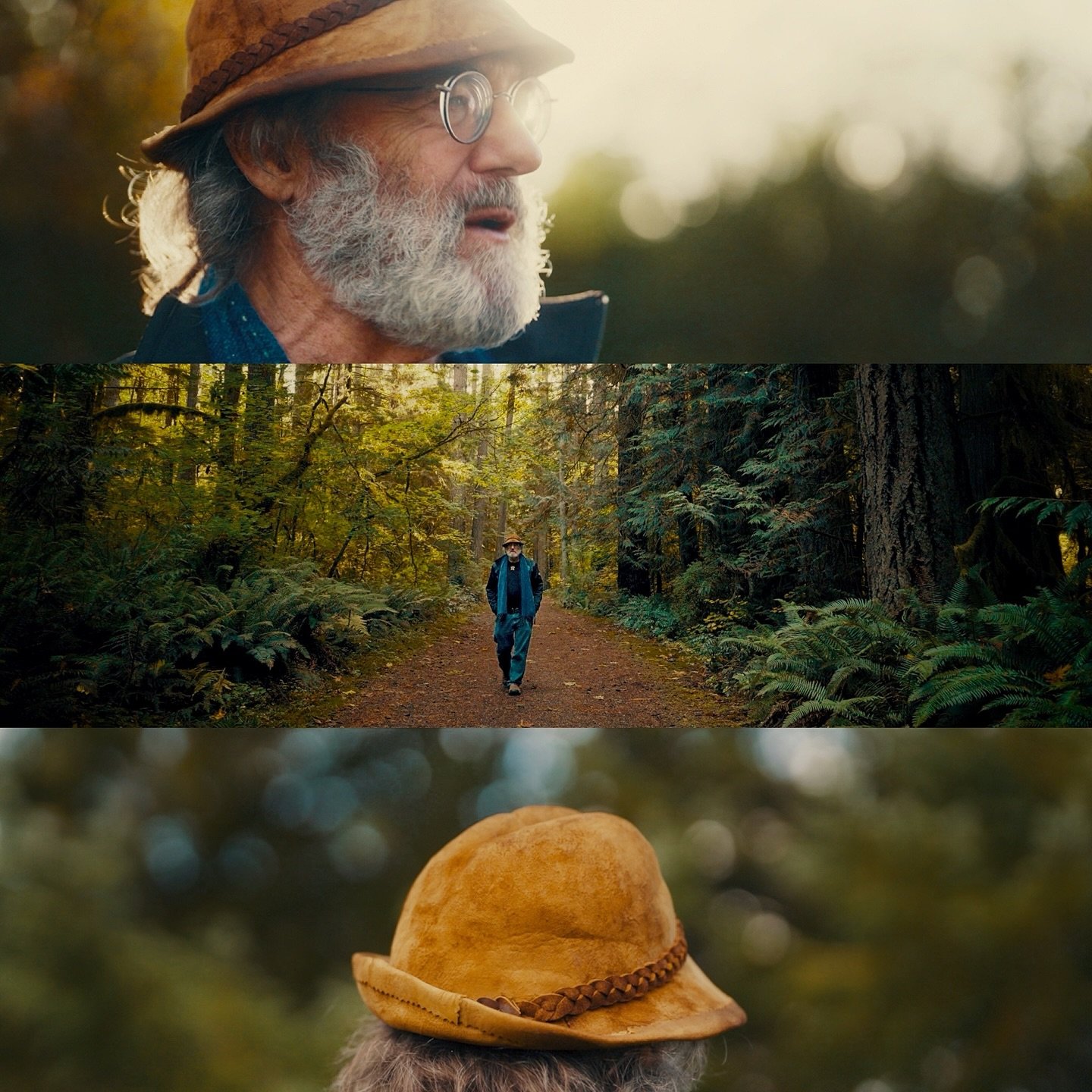 The mushroom master himself 🍄&zwj;🟫. Loving these frames from our shoot with @paulstamets and @hostdefense. 

#cinematography #goldenhour #sonyportraits #mushrooms