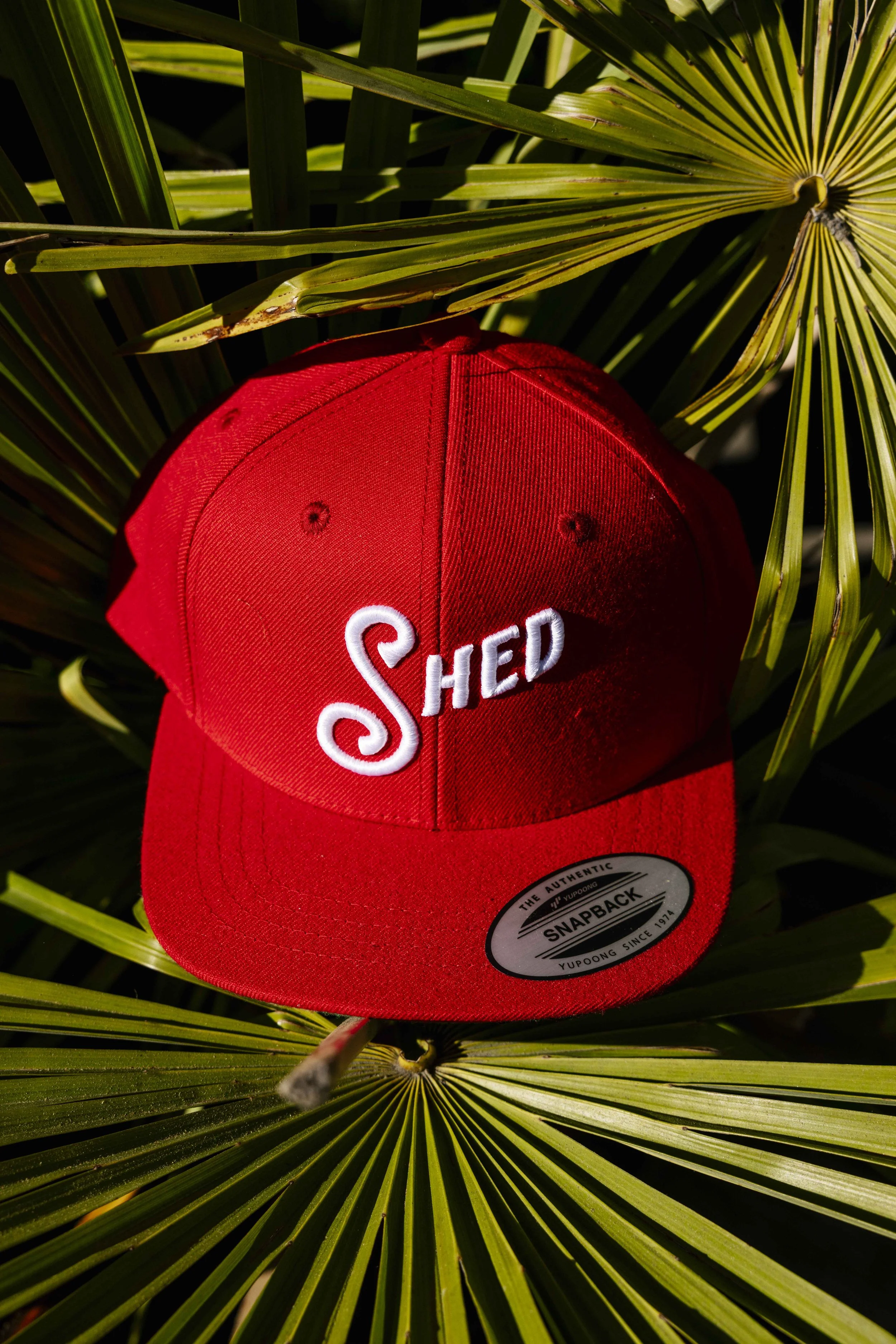 Shed-KylerVos-55.jpg