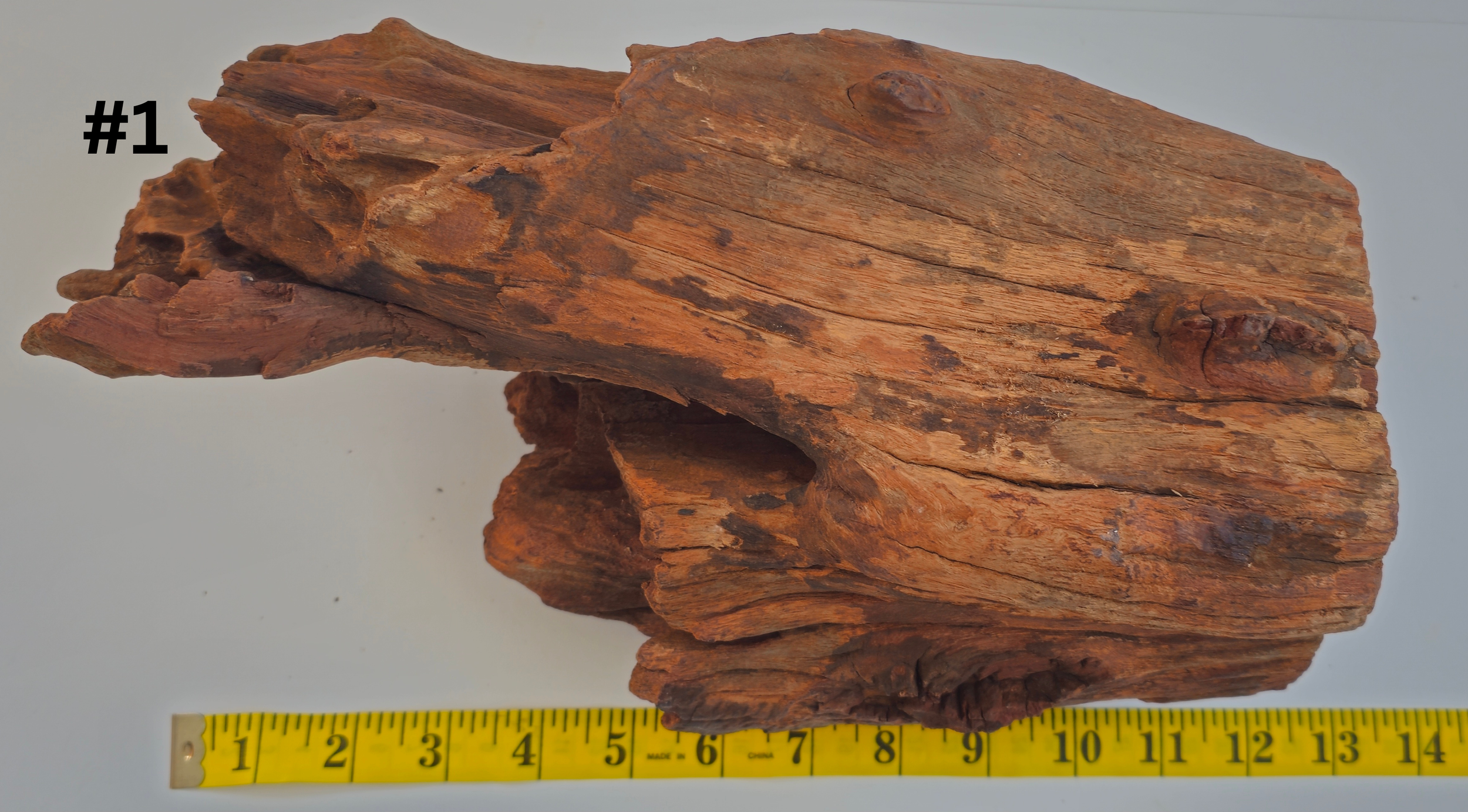 Stumpwood 10-15 #1 (1).png