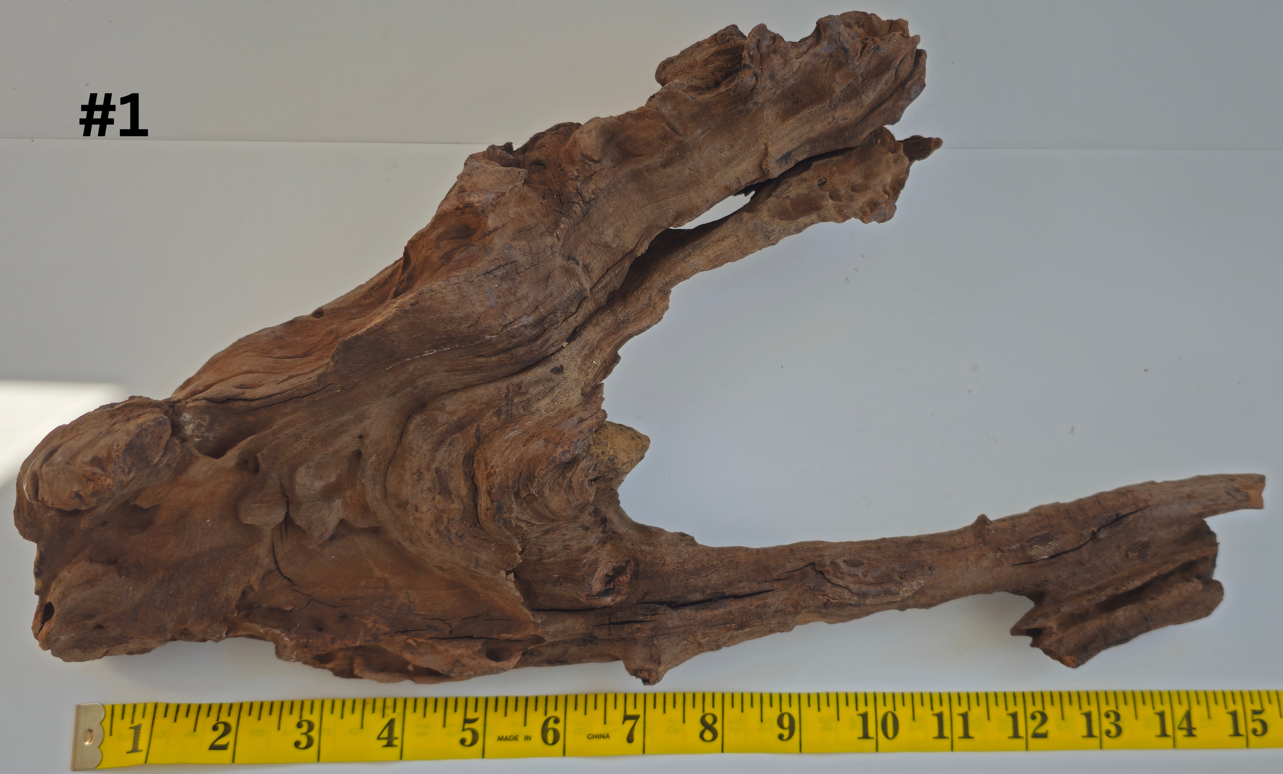 Lightwood 10-15 #1 (1).png