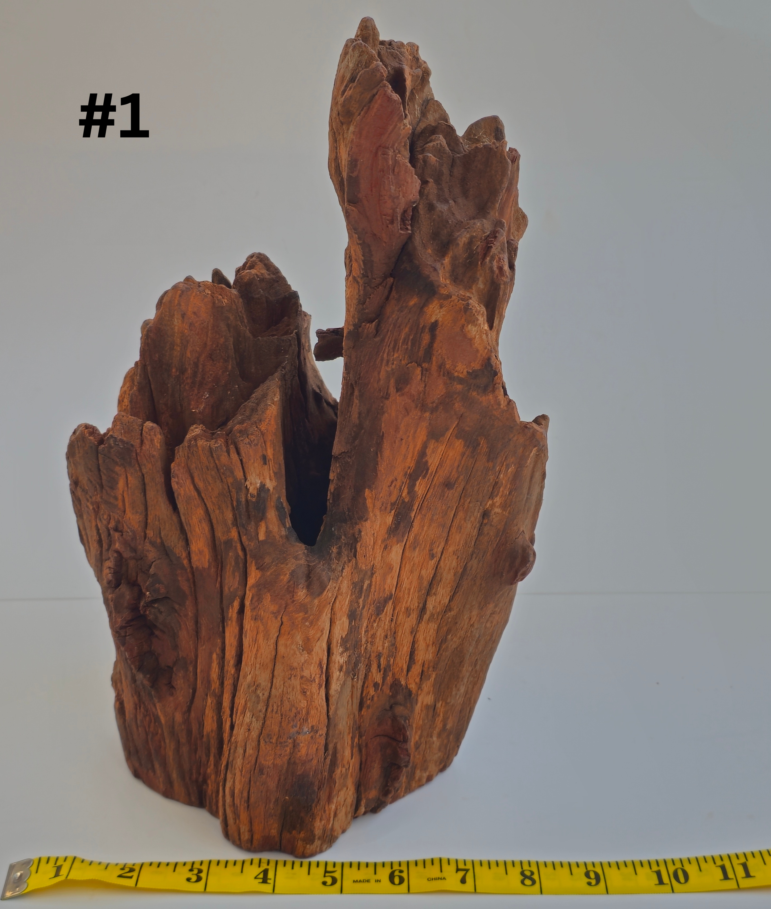 Stumpwood 10-15 Inches