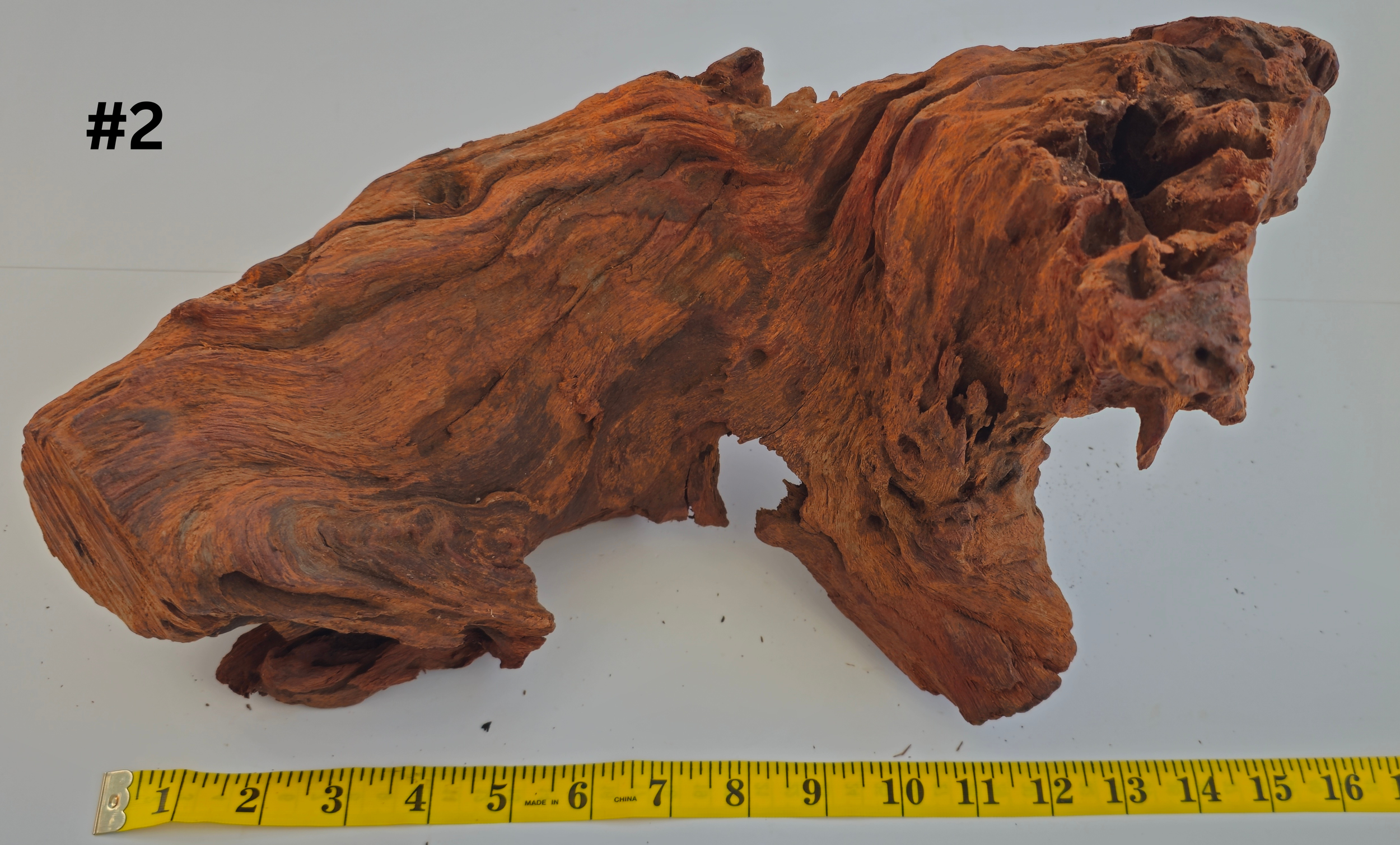 Stumpwood 10-15 #2.png