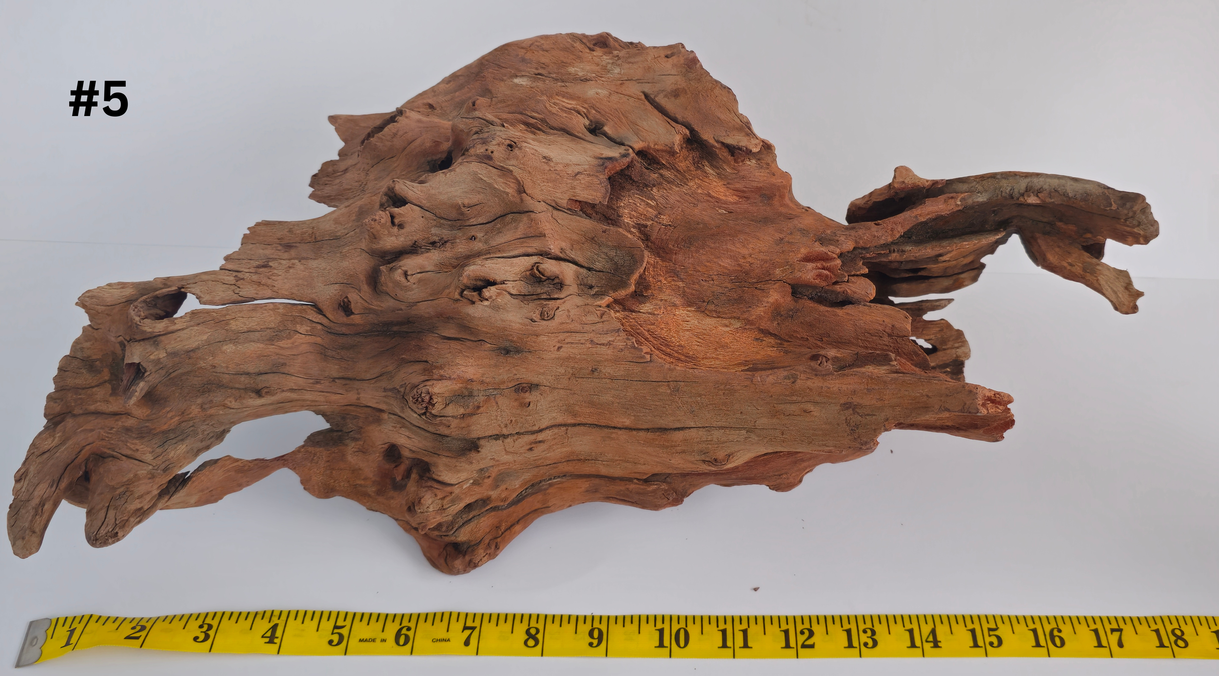 Stumpwood 15+ #5 (1).png