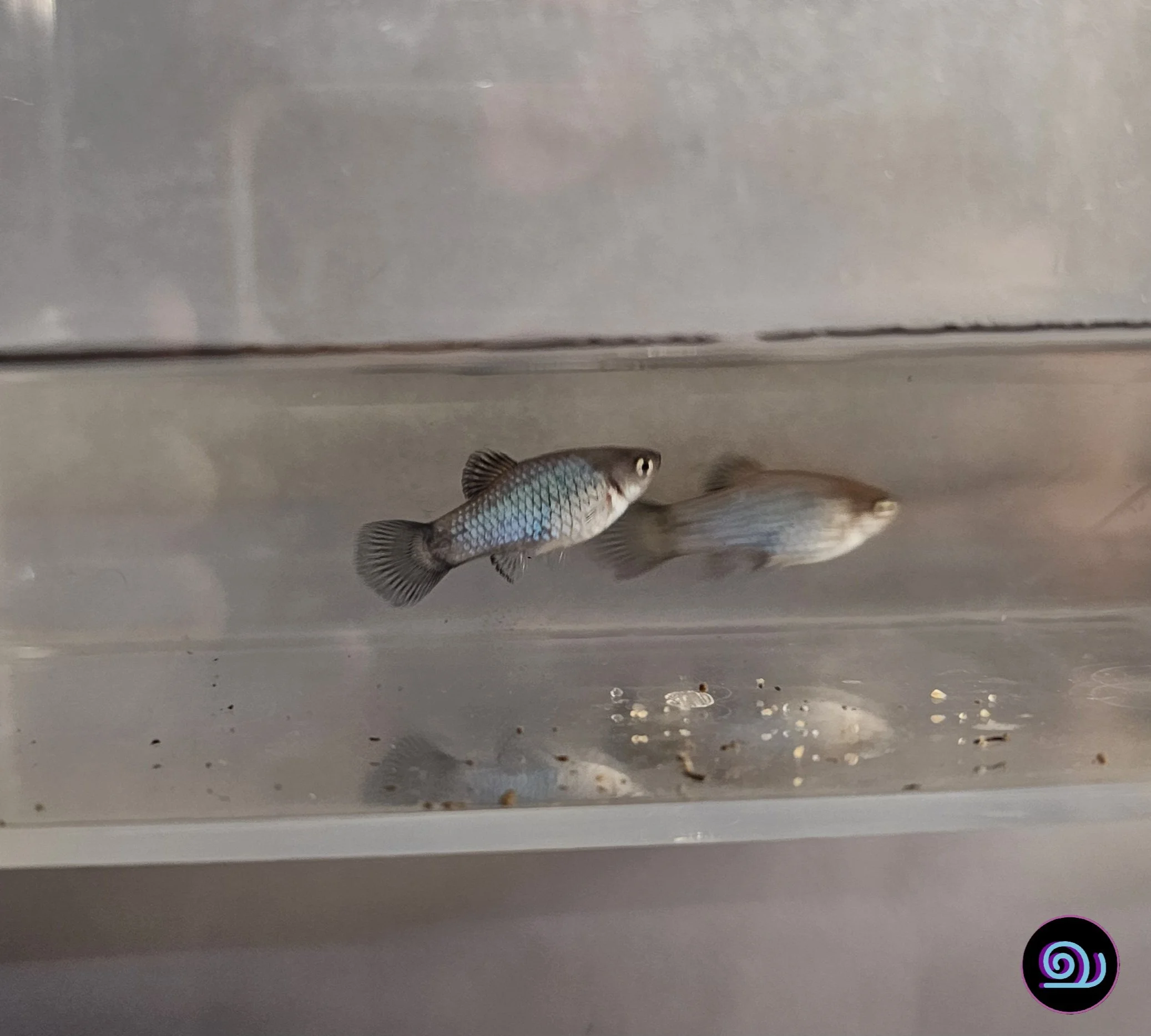 20250827_161819 (1).jpg