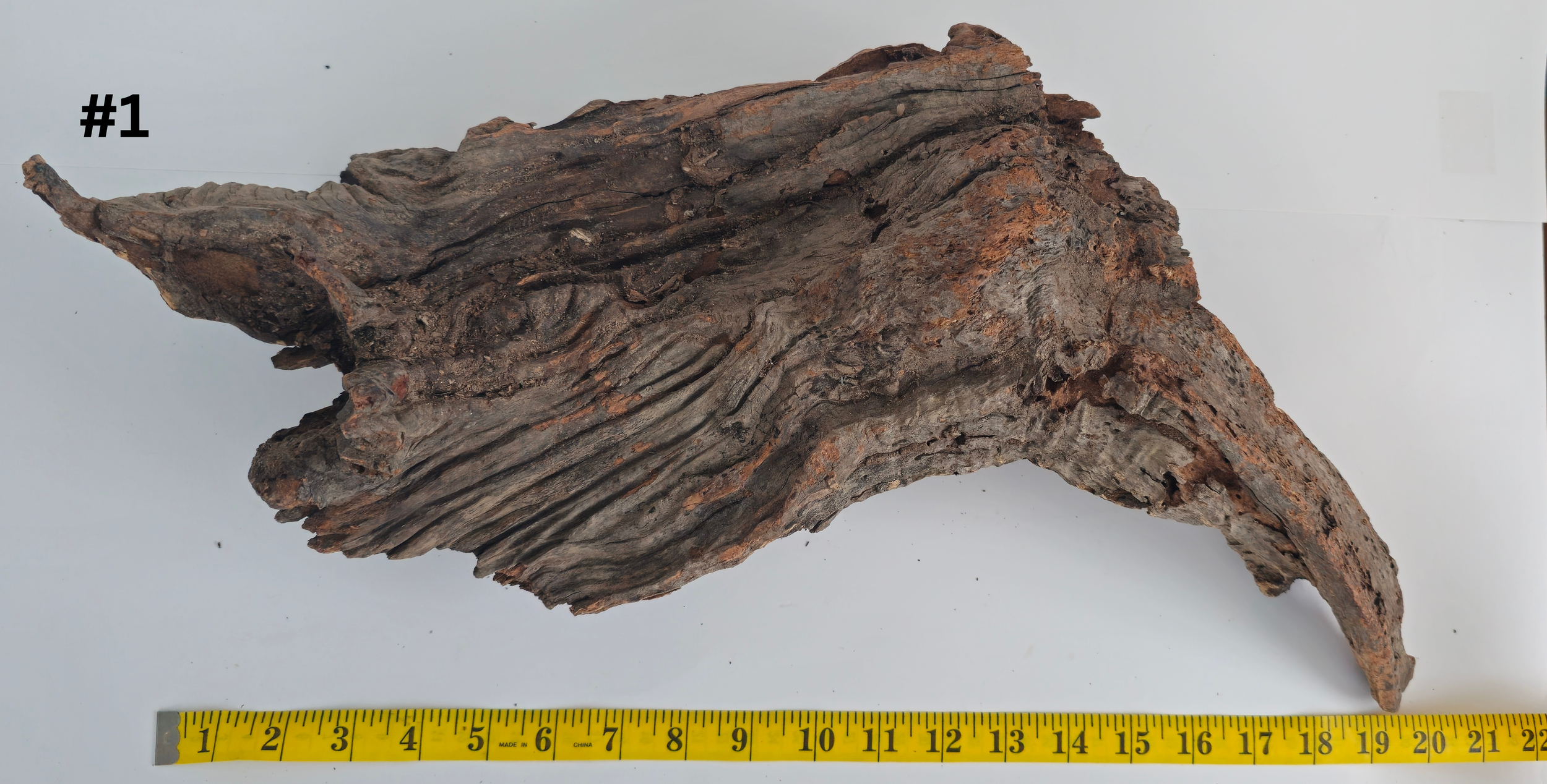 Lightwood 15+ #1 (1).png