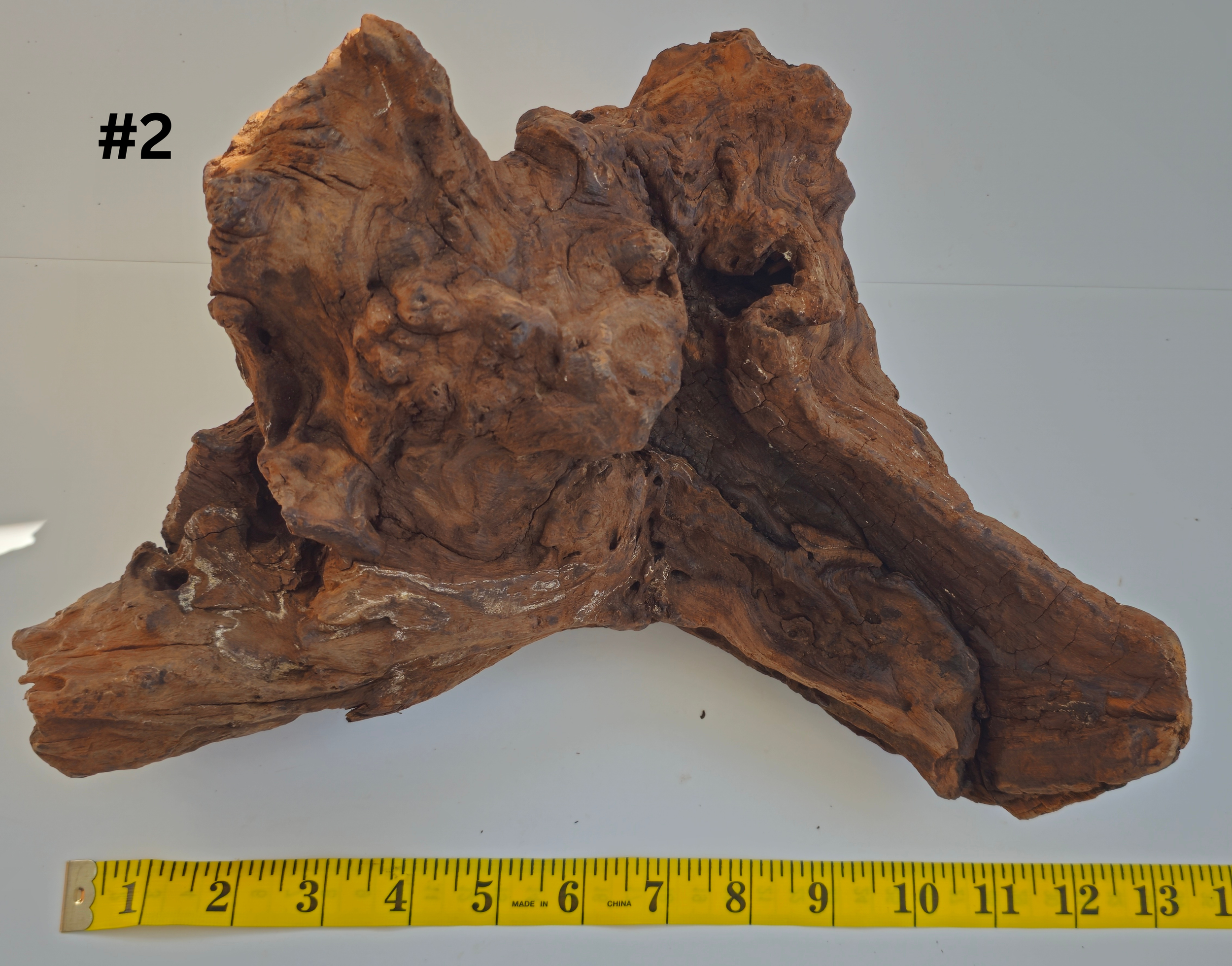 Lightwood 10-15 #2 (1).png