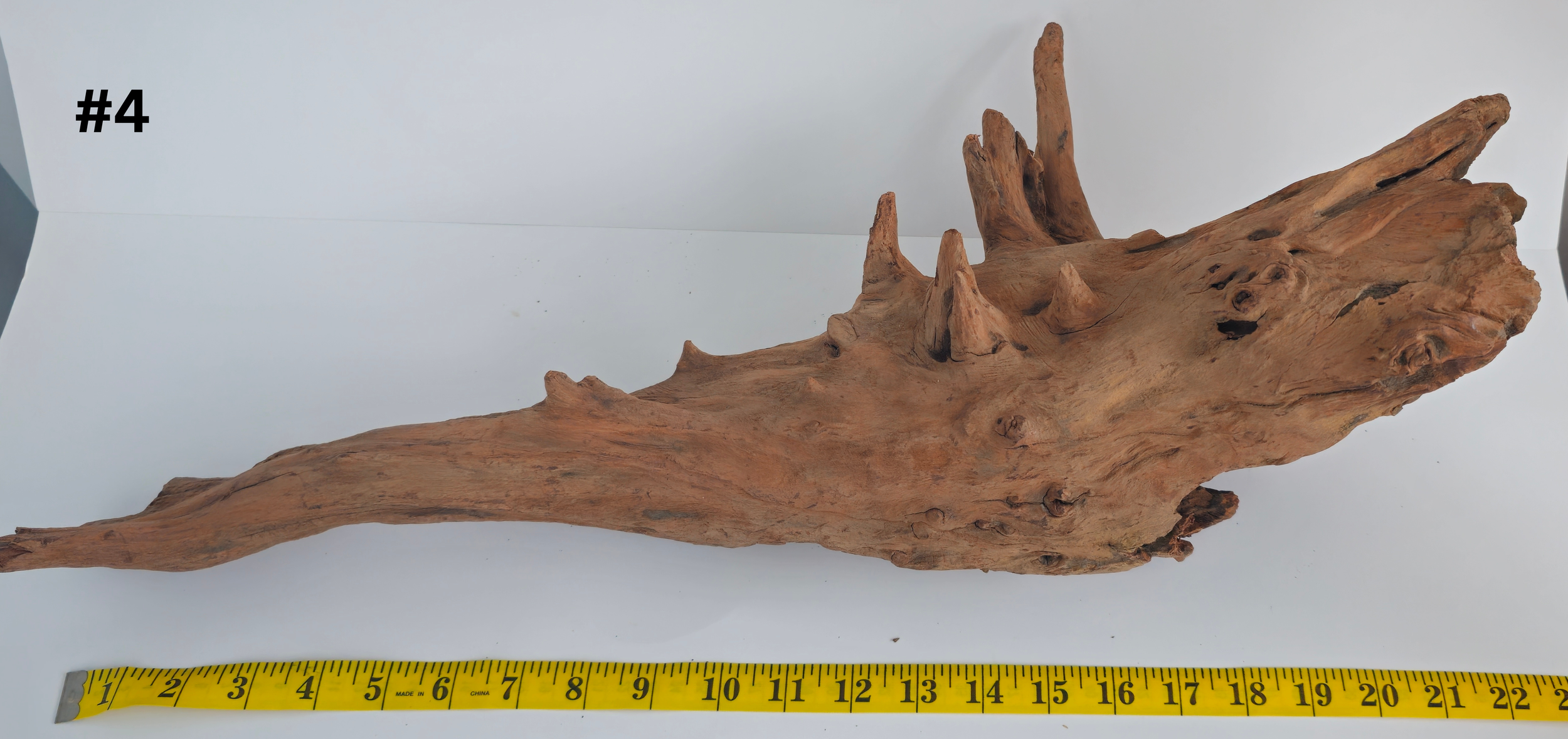 Stumpwood 15+ #4 (1).png