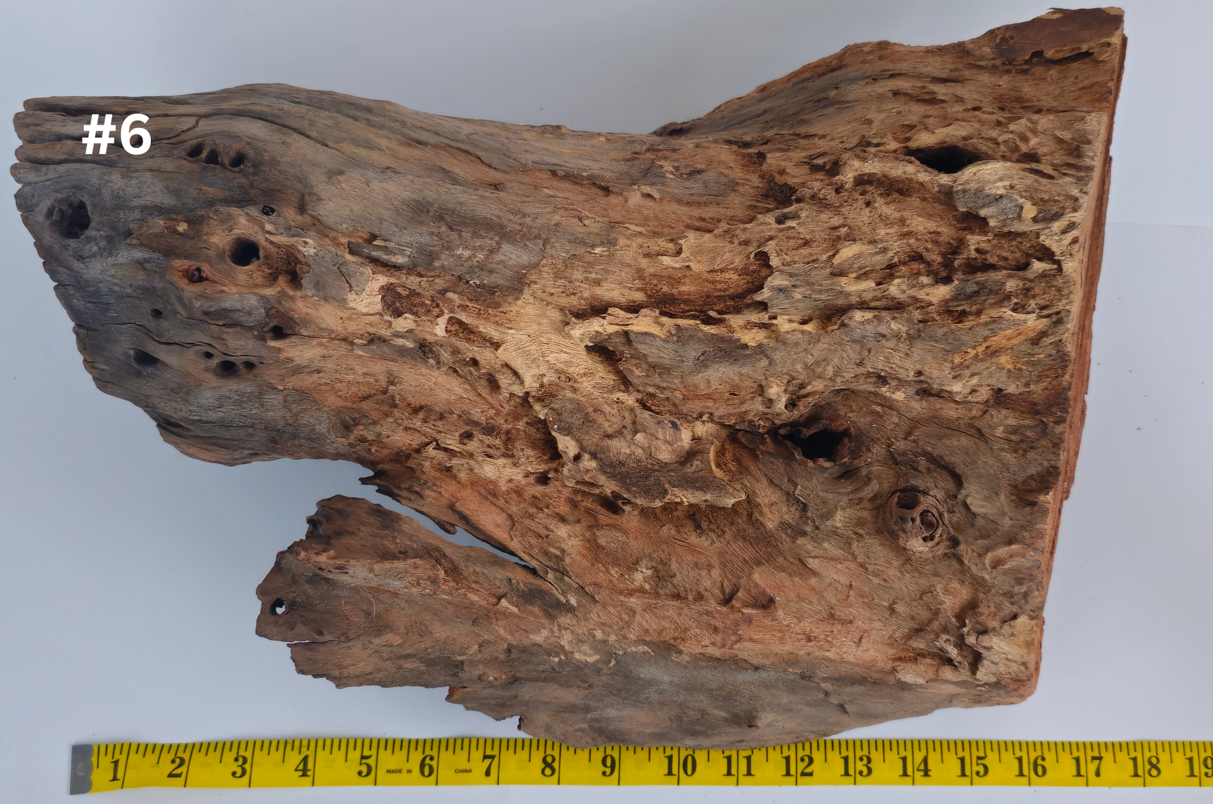 Stumpwood 15+ #6 (1).png