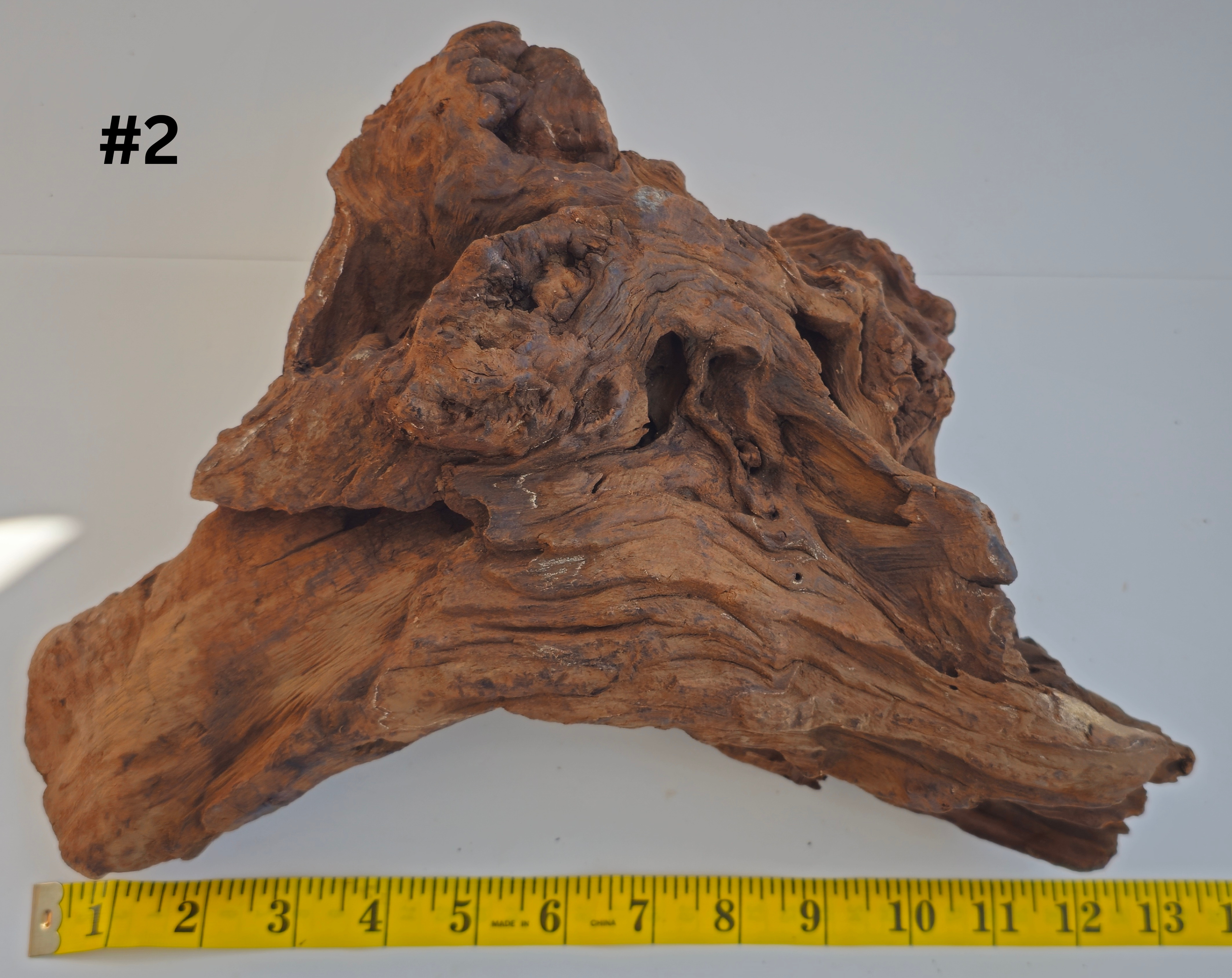 Lightwood 10-15 #2.png