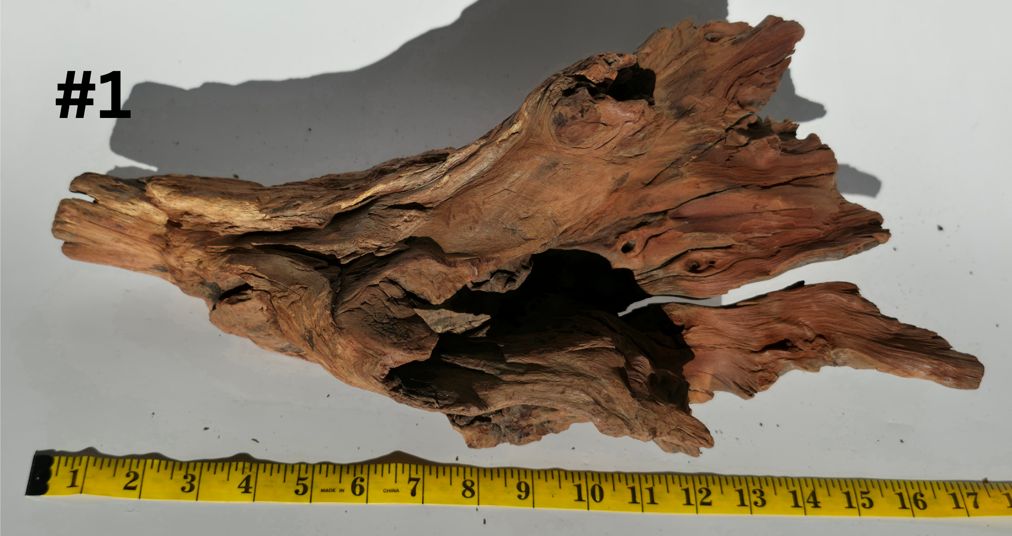 Stump wood#1 (1).png