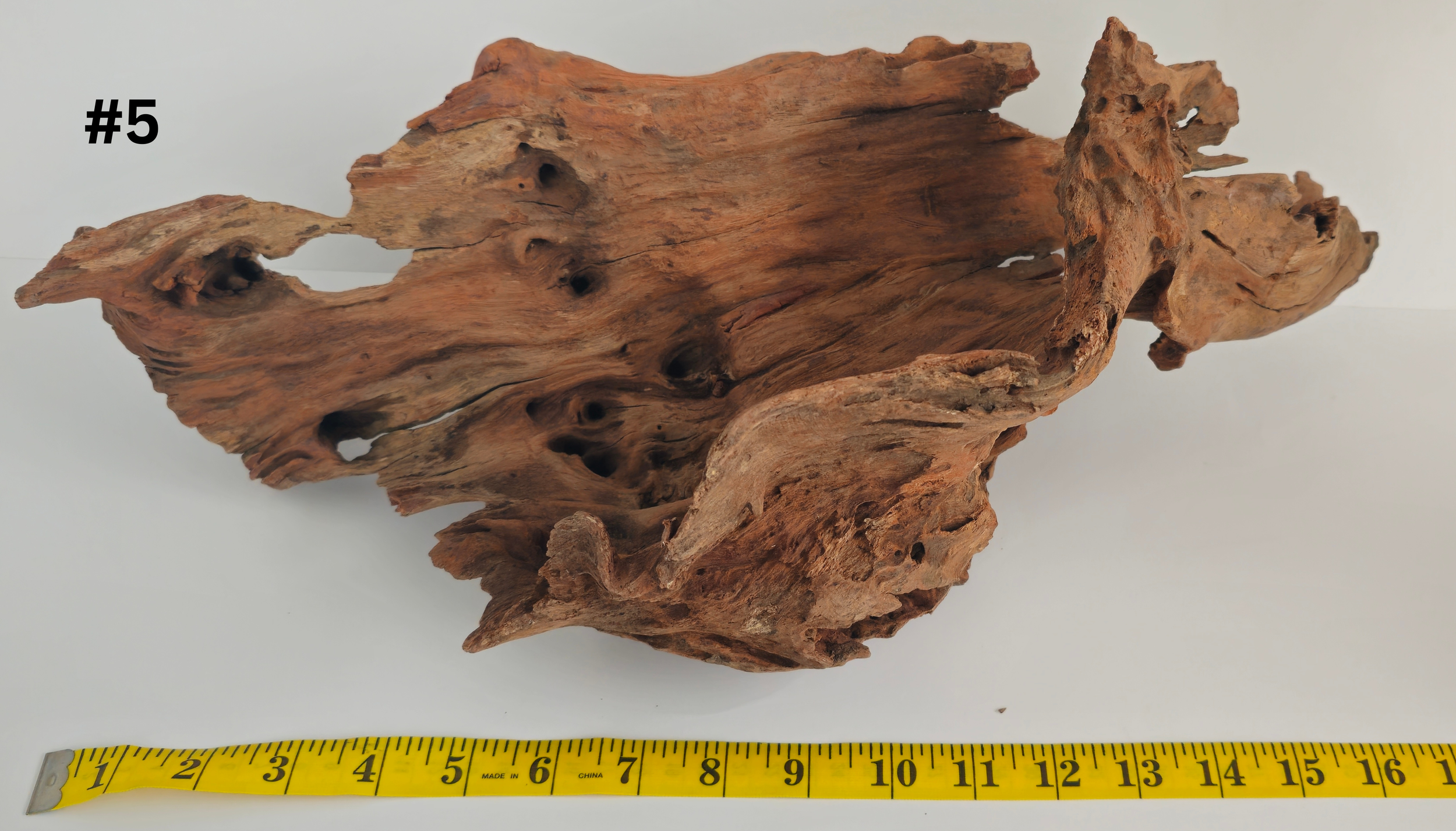 Stumpwood 15+ #5.png