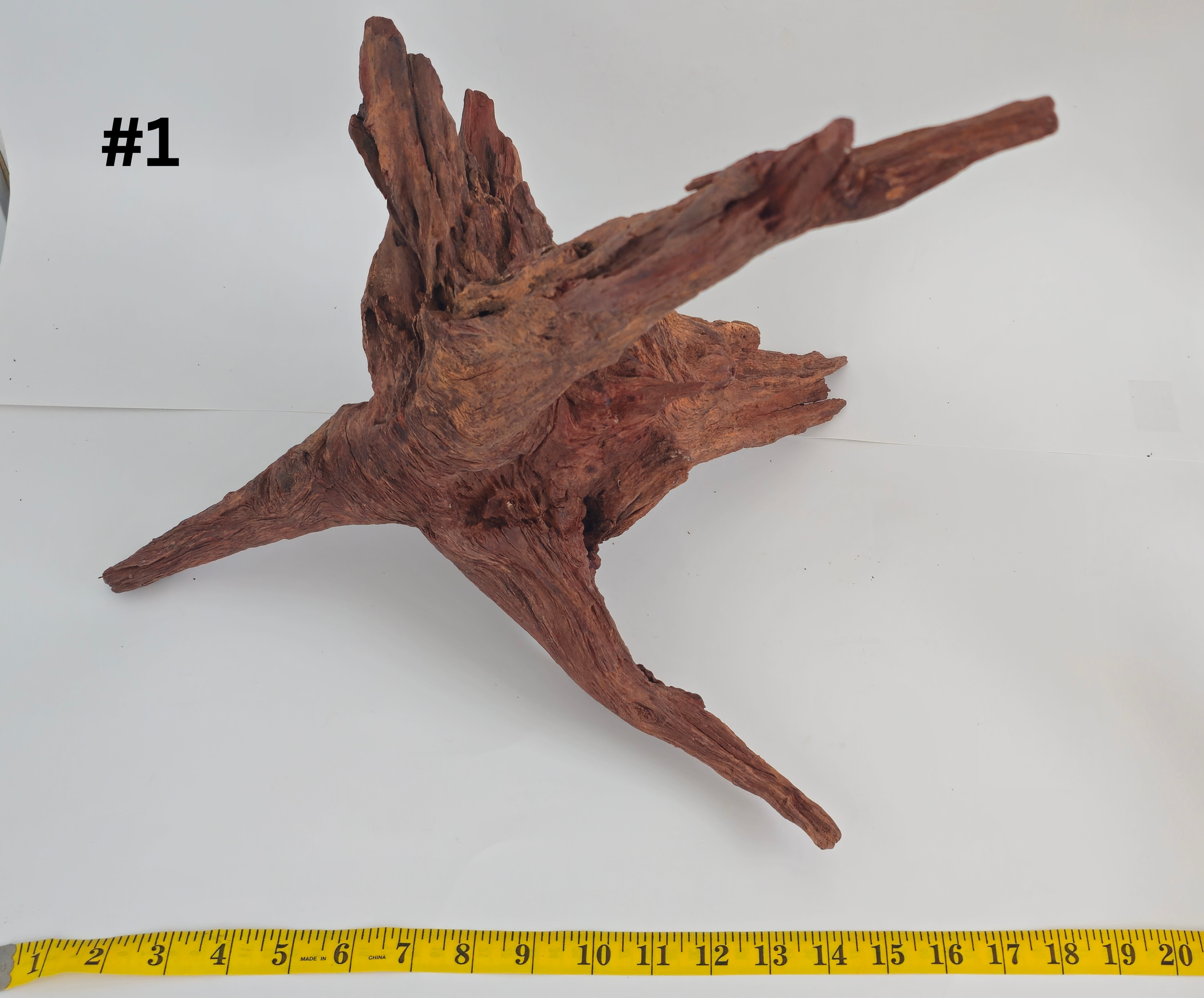 Stumpwood 15+ Inches