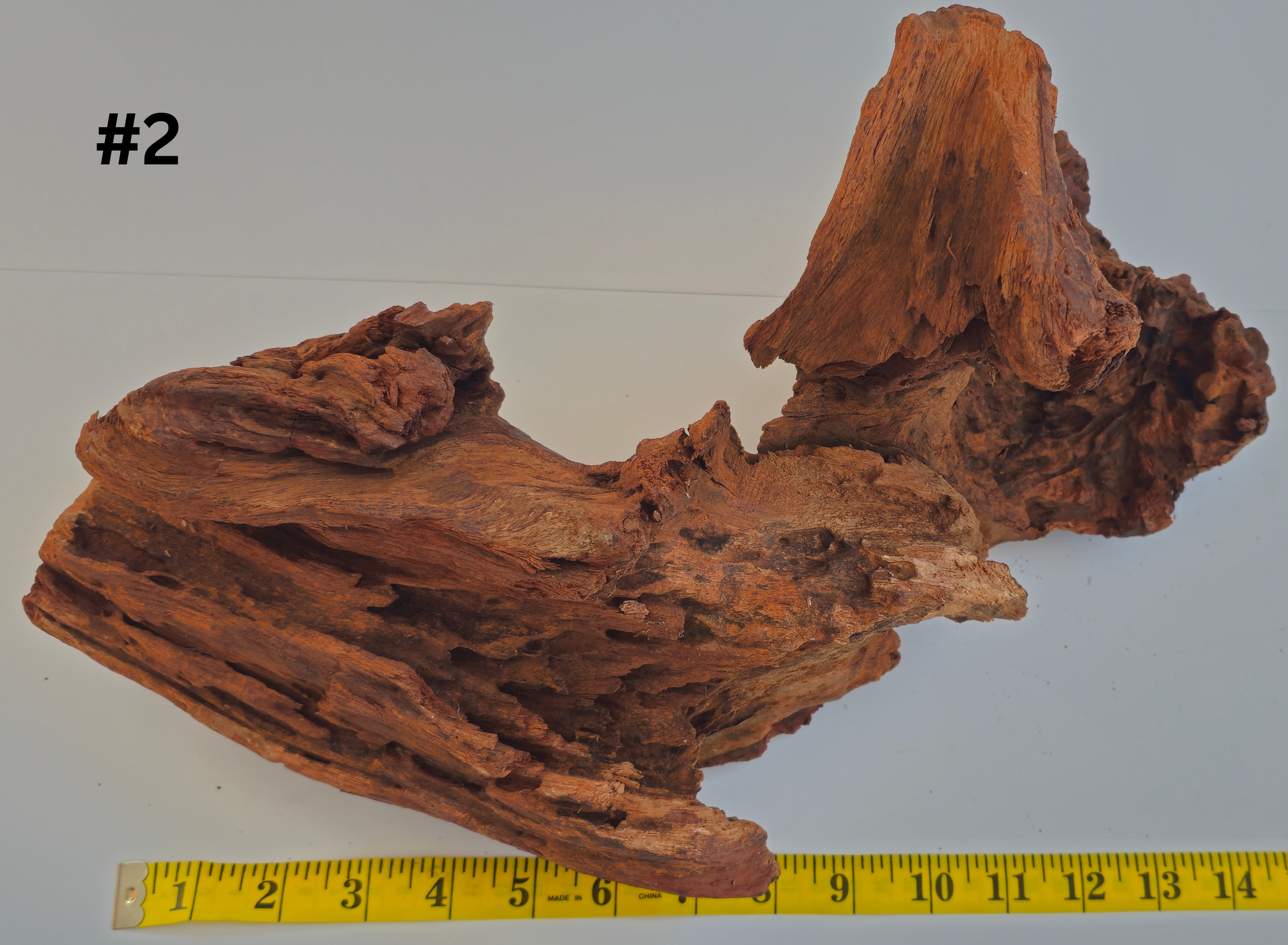 Stumpwood 10-15 #2 (1).png