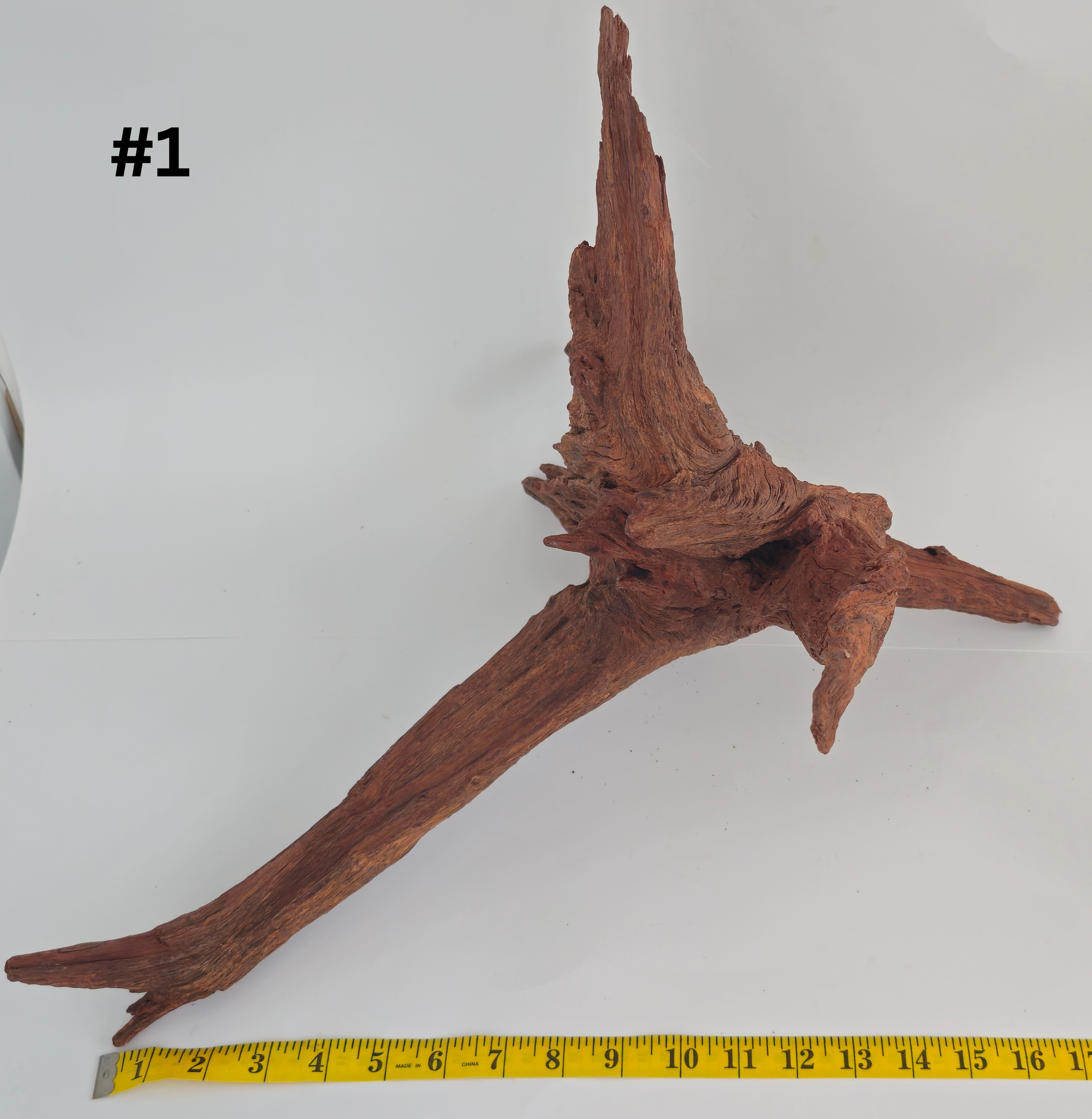 Stumpwood 15+ #1.png