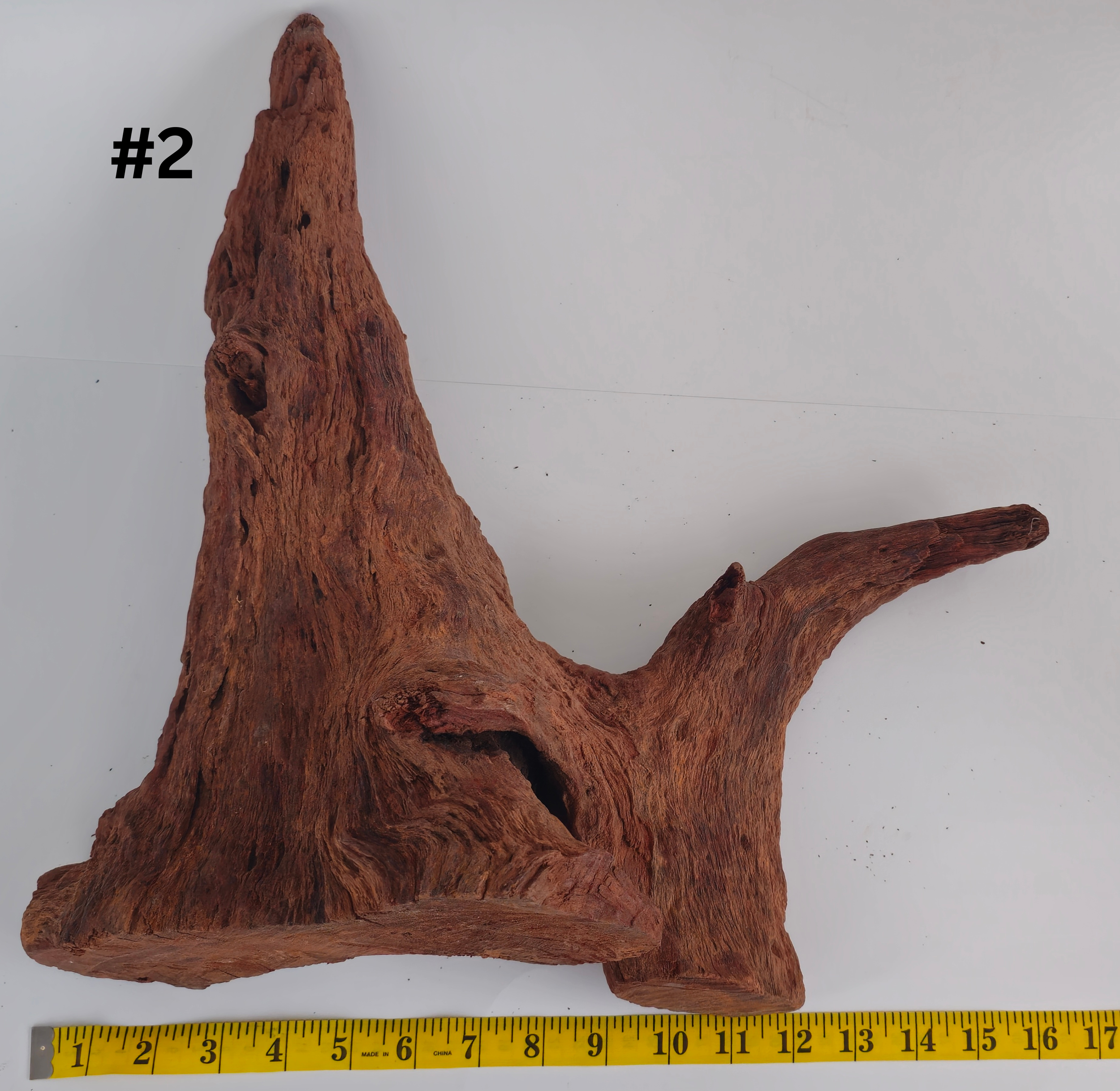 Stumpwood 15+ #2.png