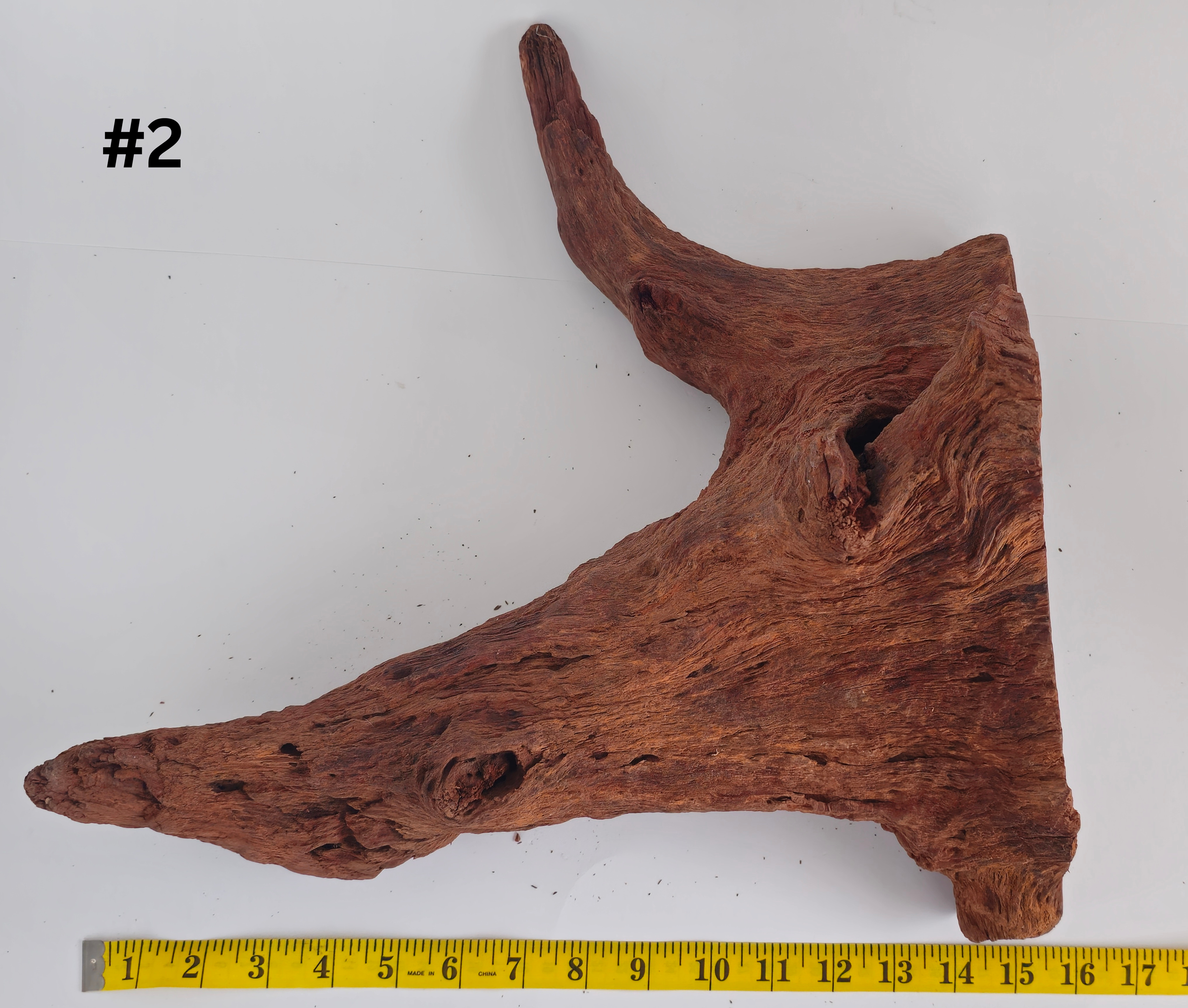 Stumpwood 15+ #2 (1).png