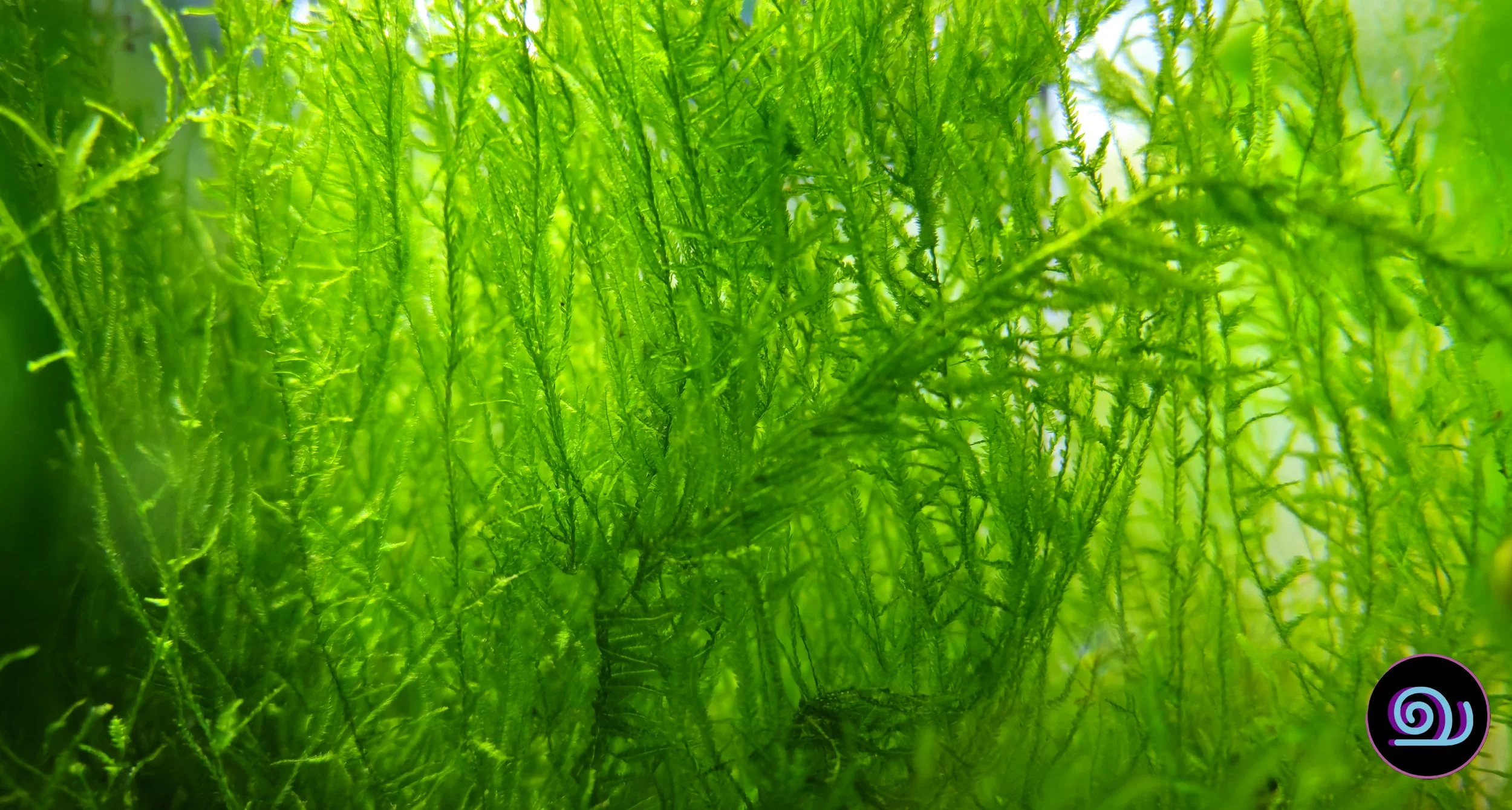 20260922_142113.jpg