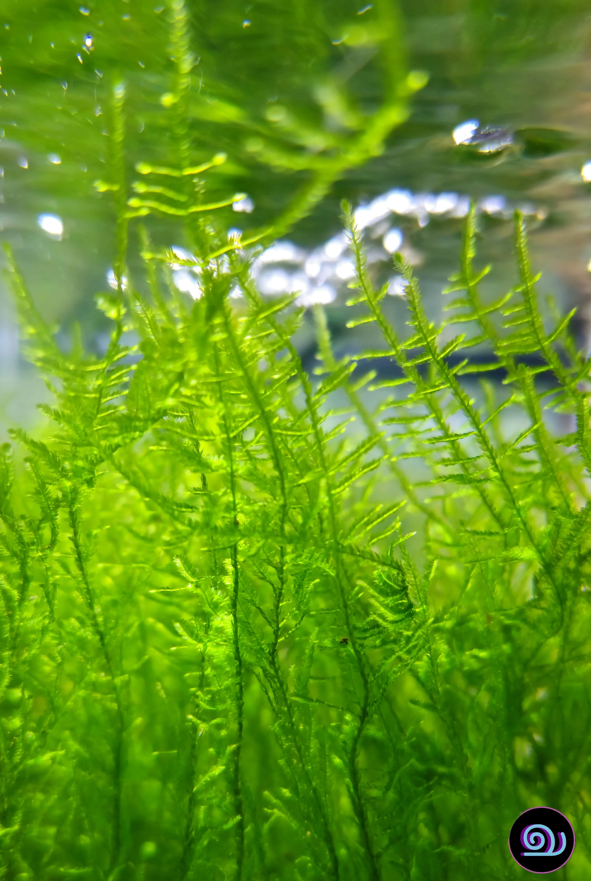 20260922_142129.jpg