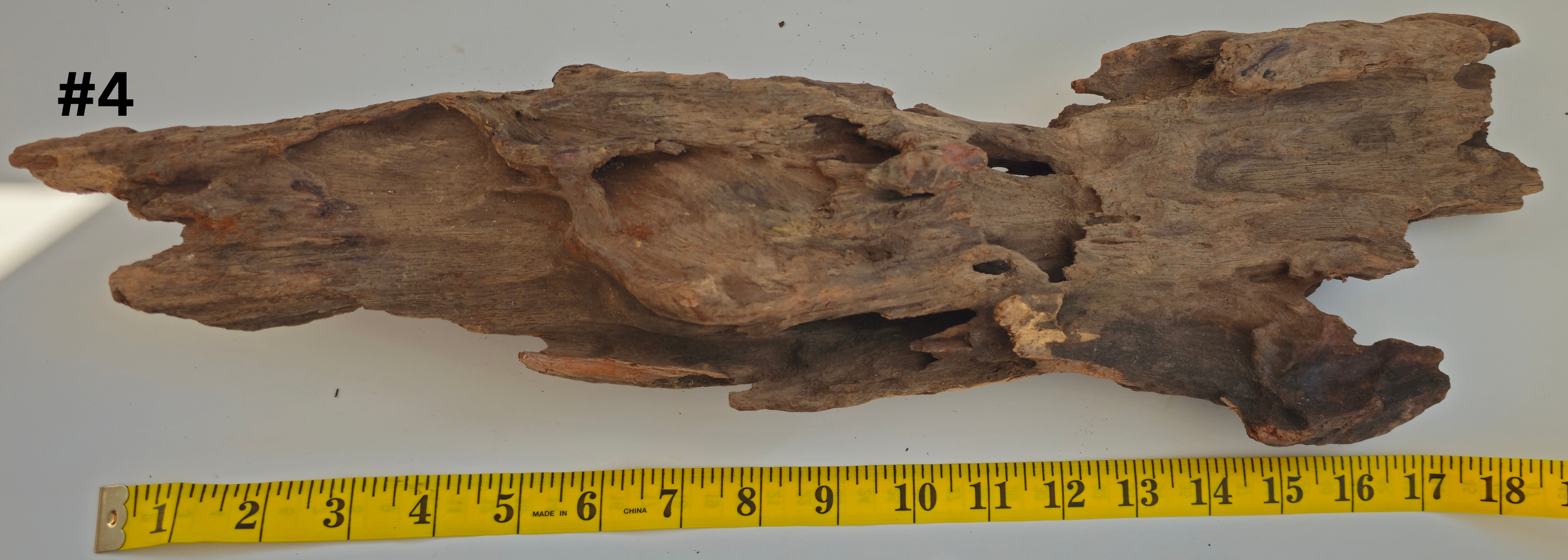 Lightwood 15+ #4 (1).png