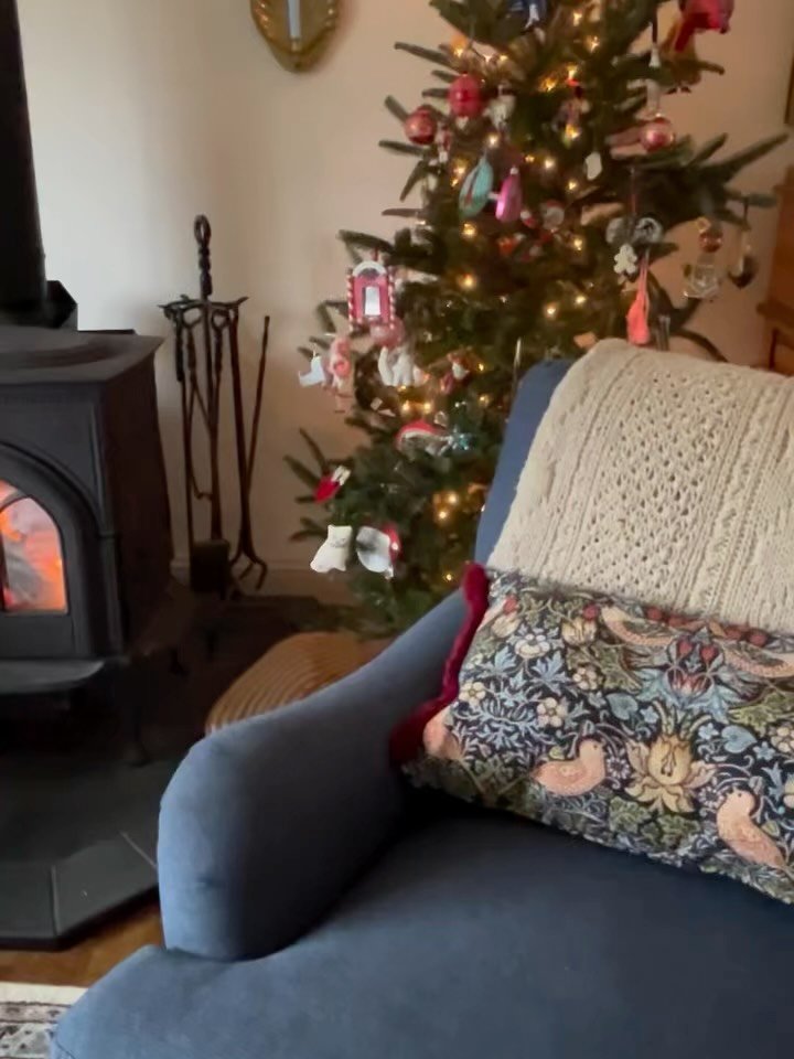 A roundup of our Christmas season 🎄
I mostly took the past two months off to create Christmas cheer for my children. Perpetually wishing I had more photos. 
It was a lovely time with family at the beach and as you can see, we were very well fed.