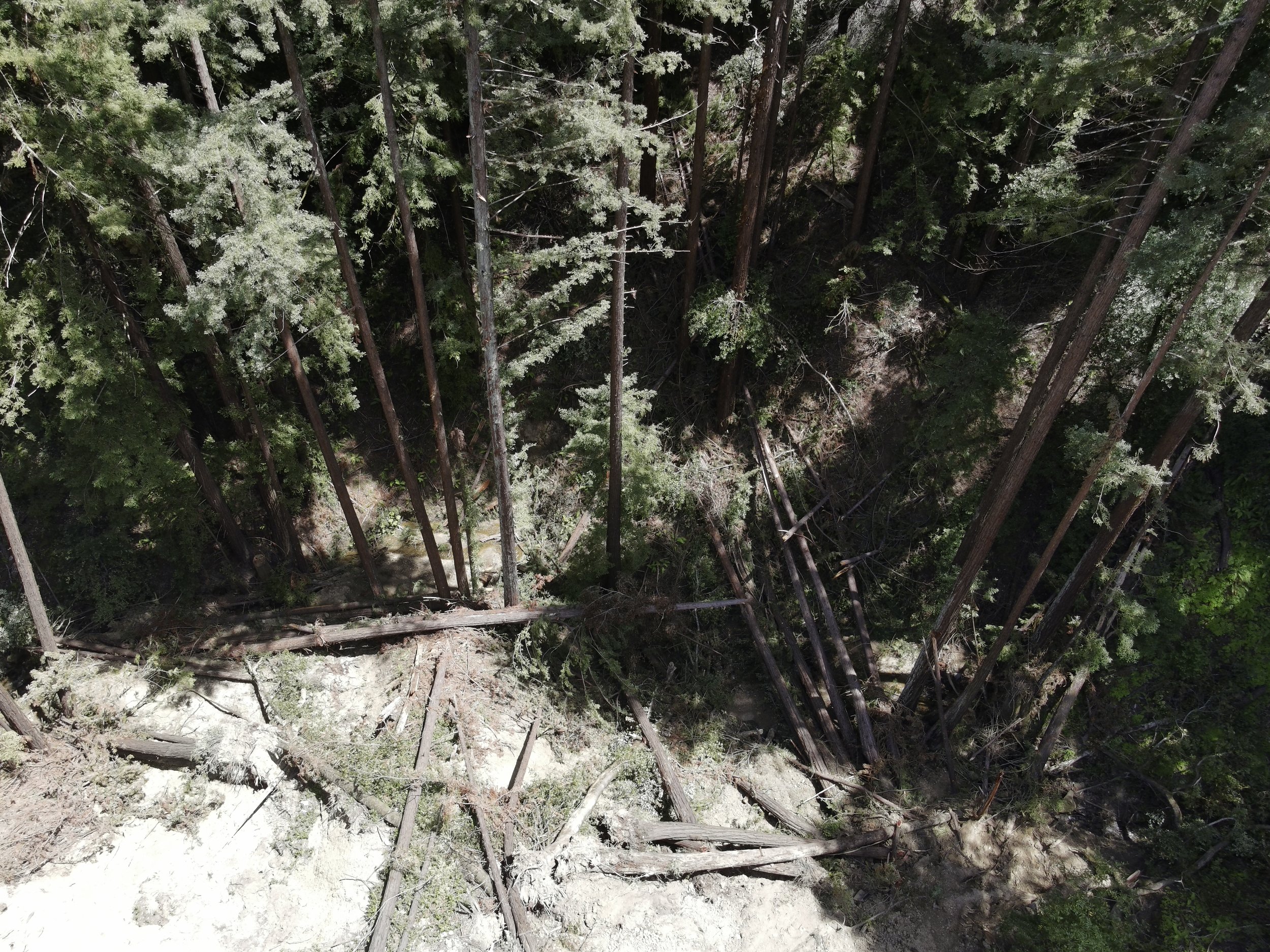 0001701_photo.JPG