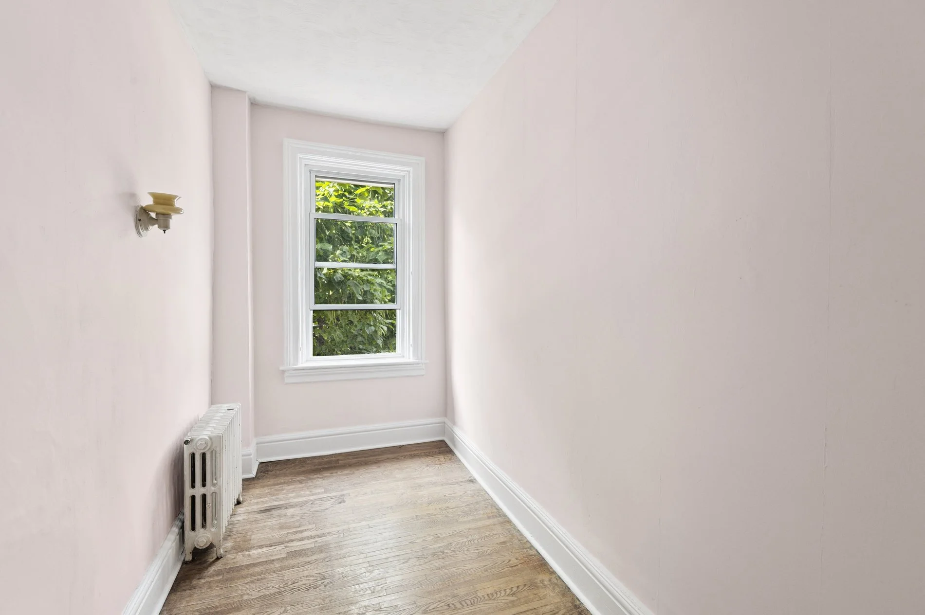 den window view.jpg