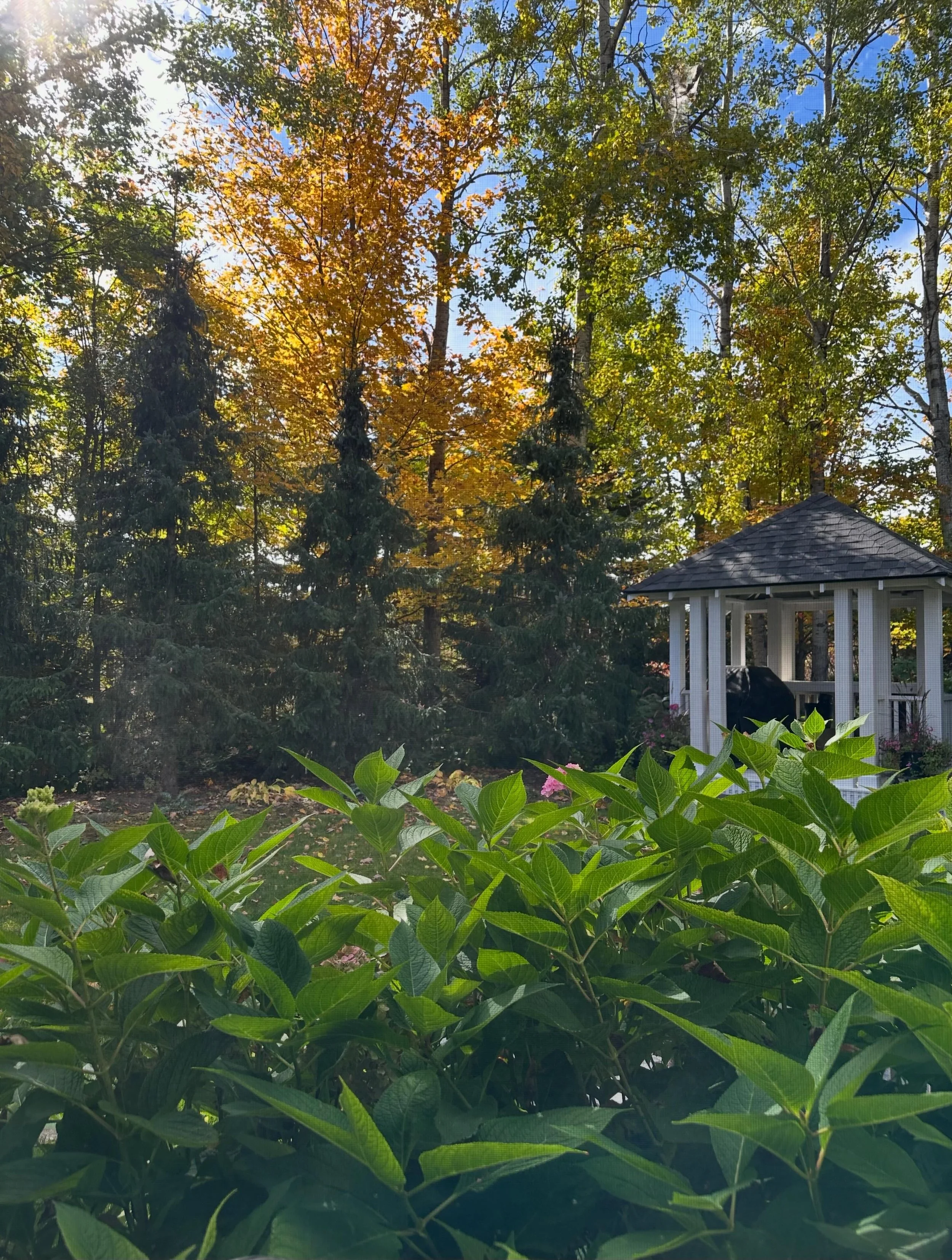 I spent this long weekend in beautiful Oro-Medonte. We celebrated the harvest season with a feast of all locally grown food. It was a perfect weekend for long country walks, and reflecting on everything we have to be grateful for. It was nice to spen