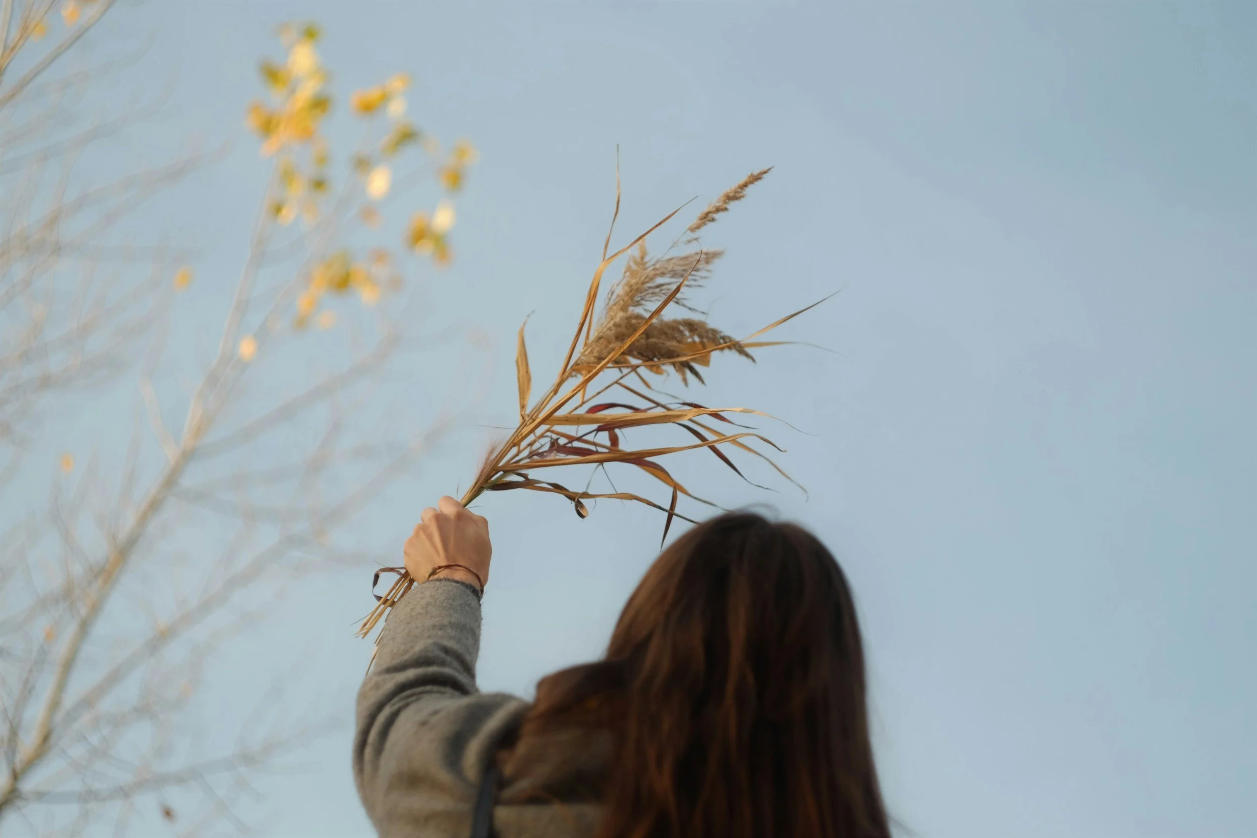 Your Body Already Knows What to Do: Trusting the Wisdom of Early Pregnancy