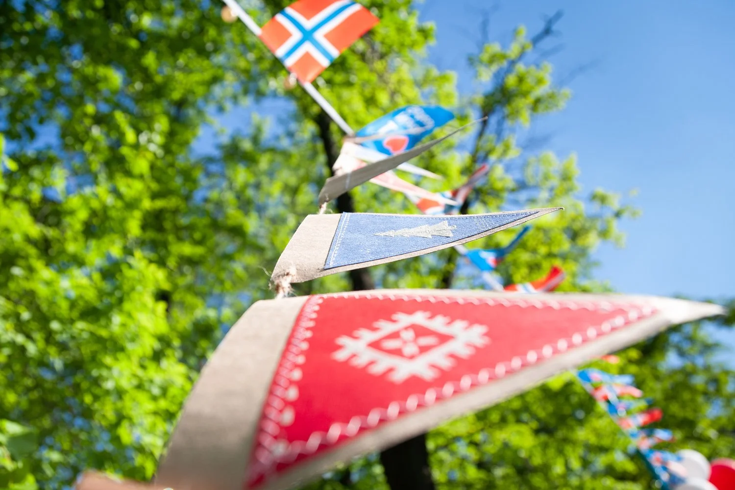Skolene i bydel Bydel Grünerløkka