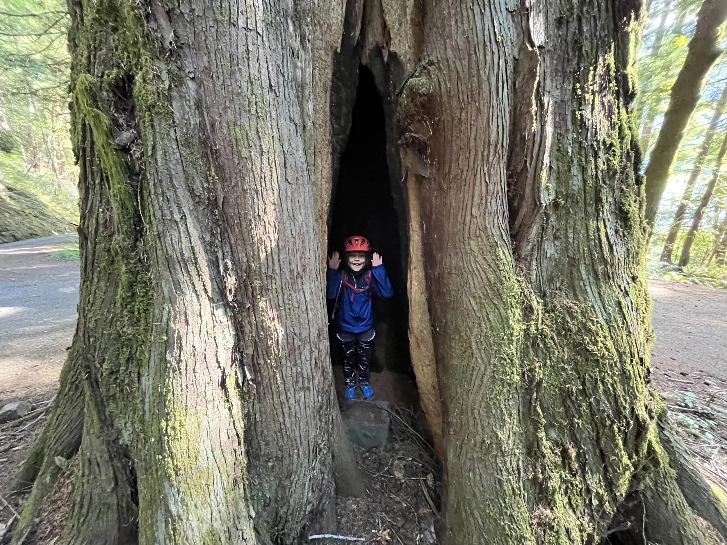 Copy of IMG_0141.jpeg