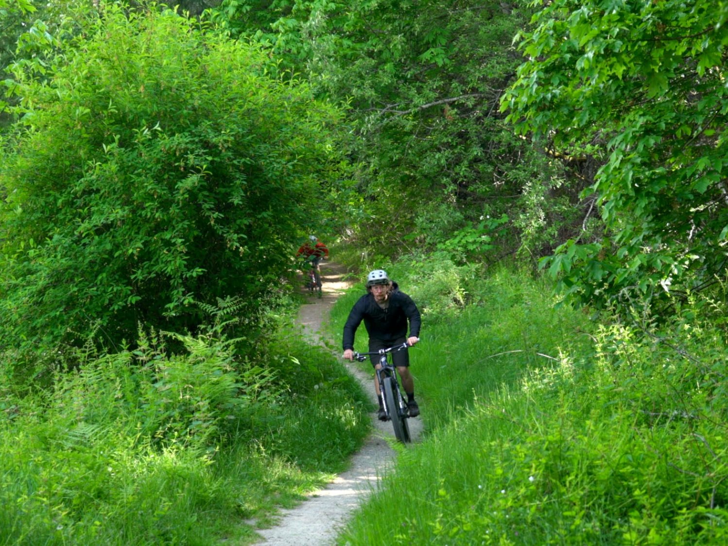 mountain bikers on the Olympic Adventure Trail