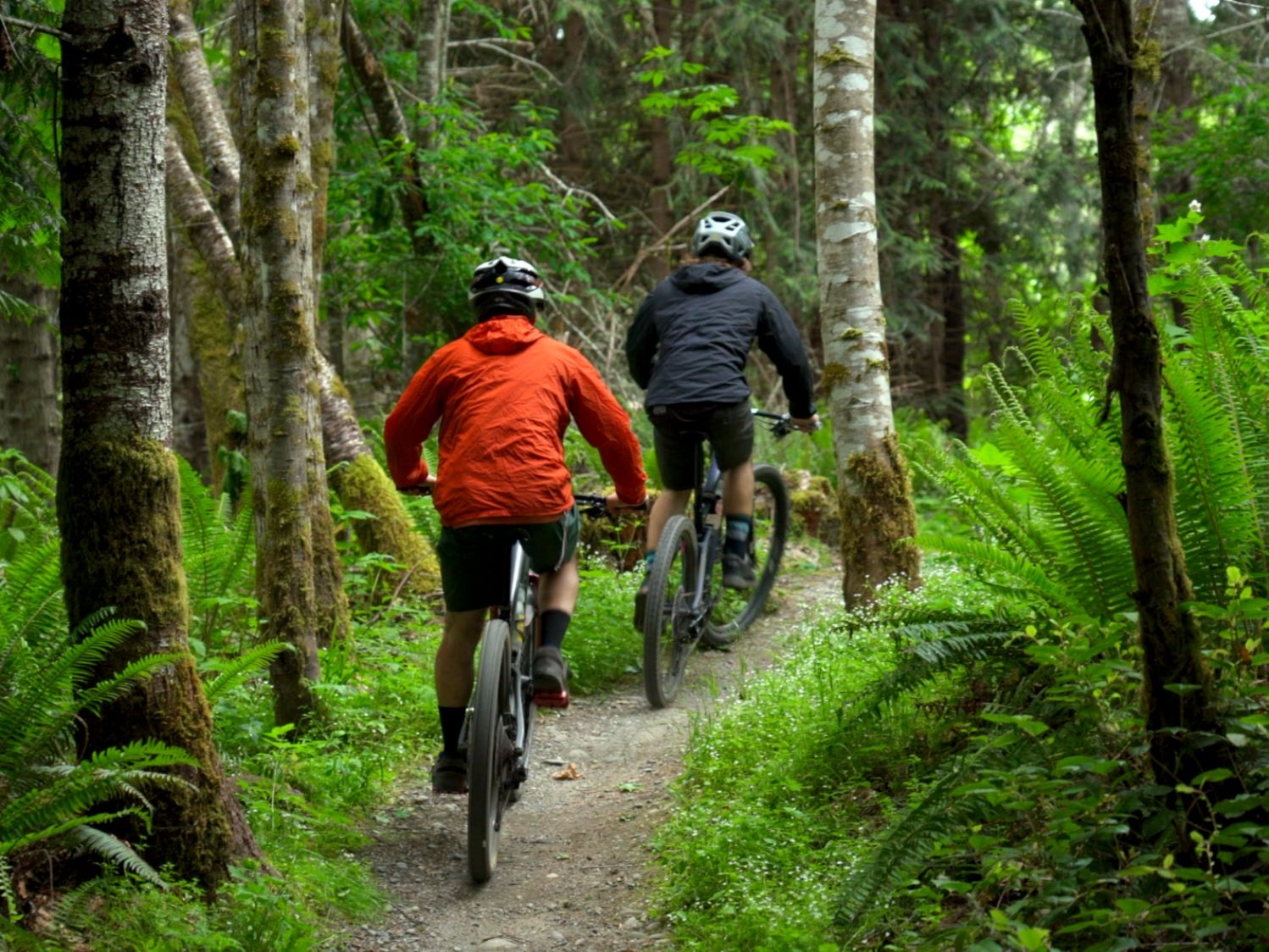 mountain bikers on the Olympic Adventure Trail