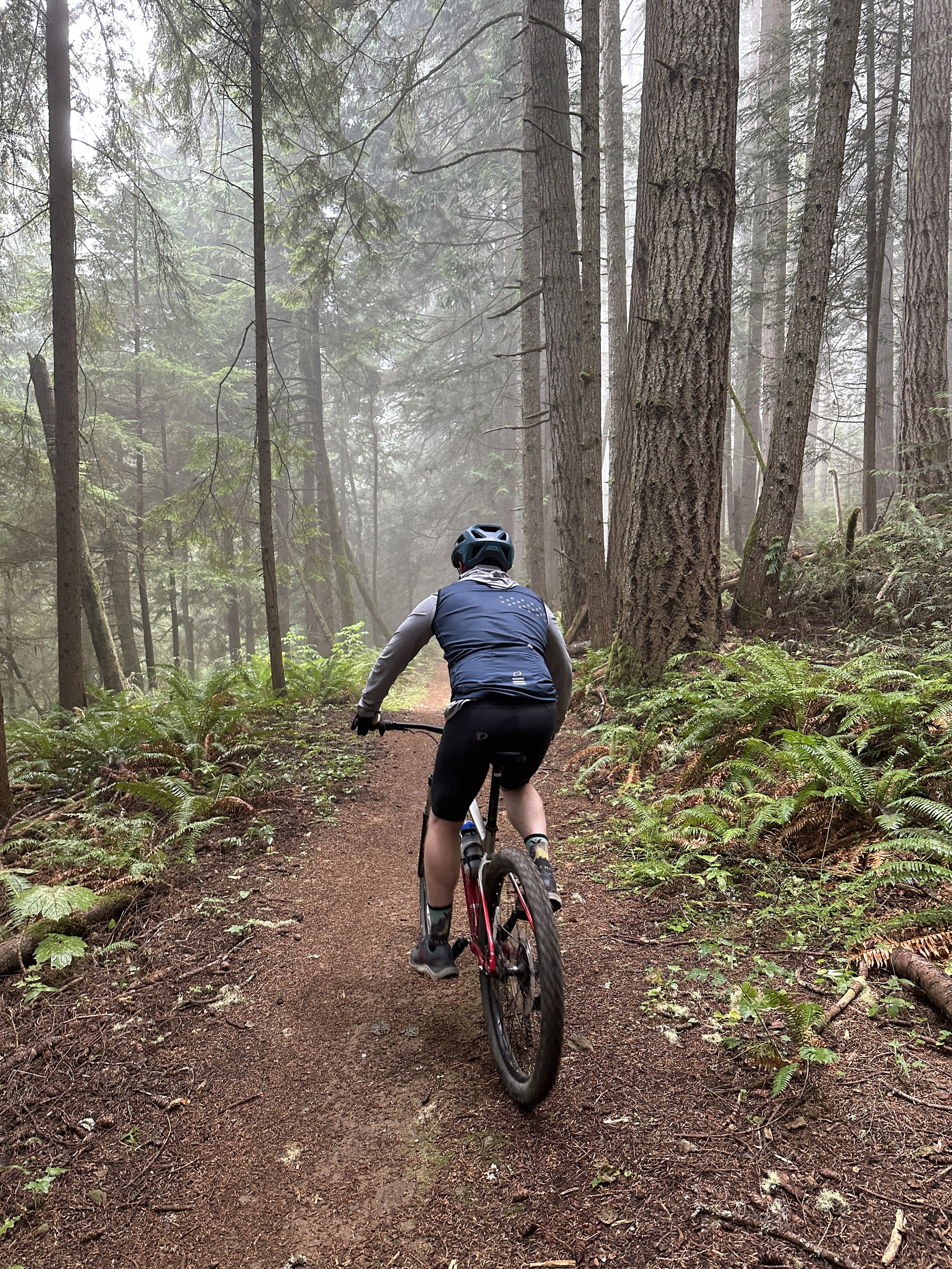 Mountain biker in the misty trees