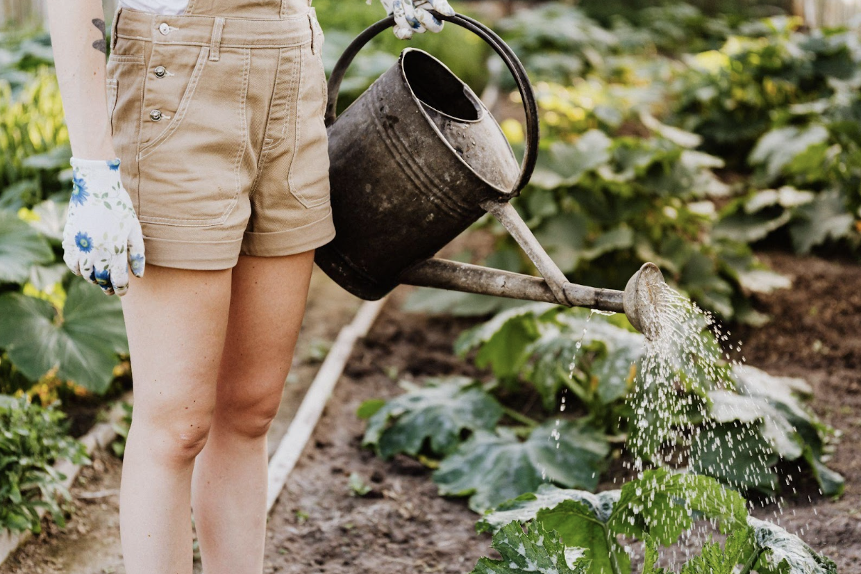How To Establish Healthy Habits While Grieving