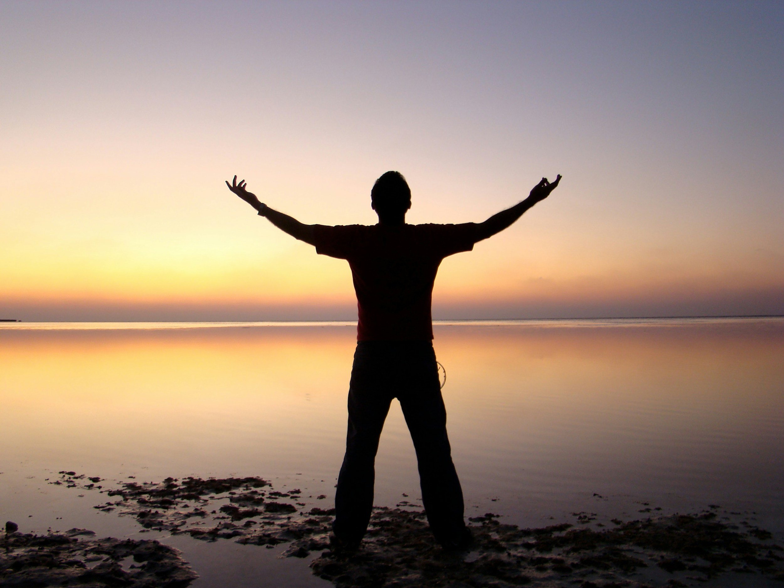 The Luminous Energy Field: Alberto Villoldo’s Vision of Healing and Transformation
