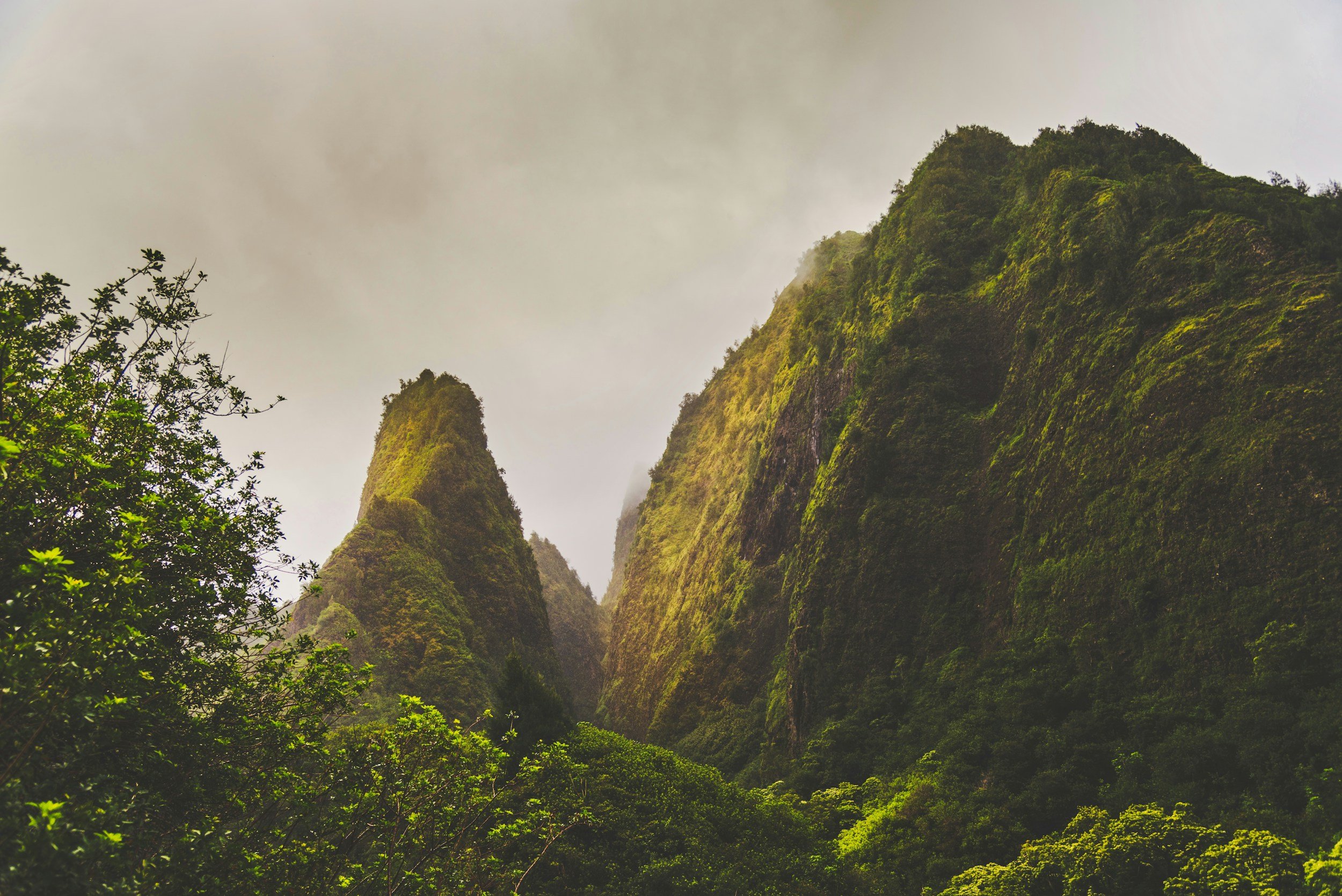 Healing in Nature: How the Natural World Supports True, Lasting Transformation