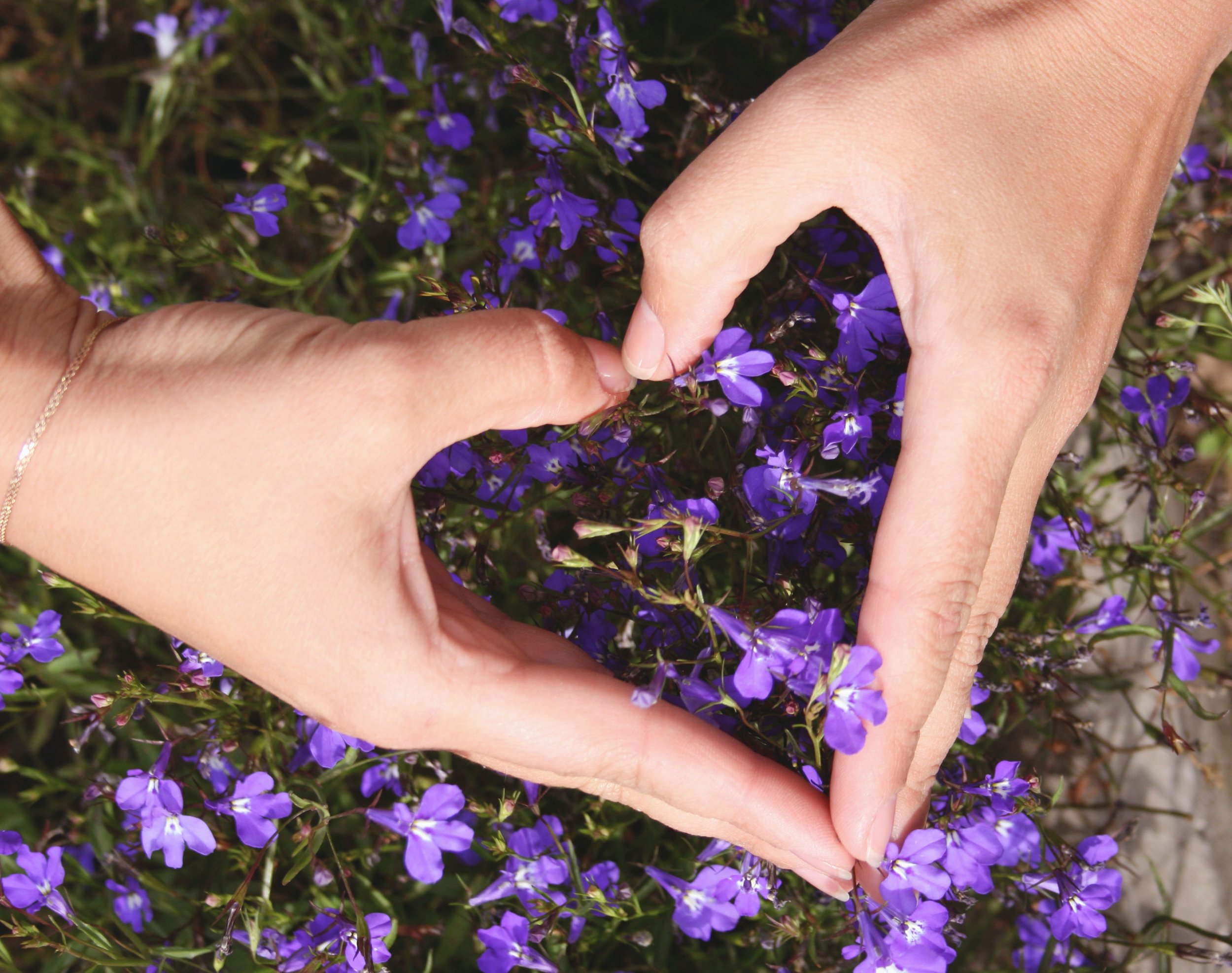 Видеть рукой цвет. Цветок на руку.. Рука с цветами на природе. Красивые цветы настоящие и руки. Цветы в руках фото.
