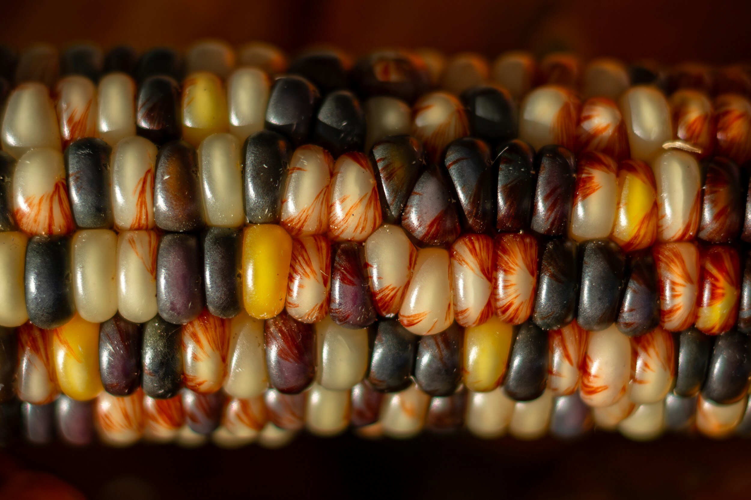 Approaches for Pursuing Regenerative Organic Agriculture for Food ...