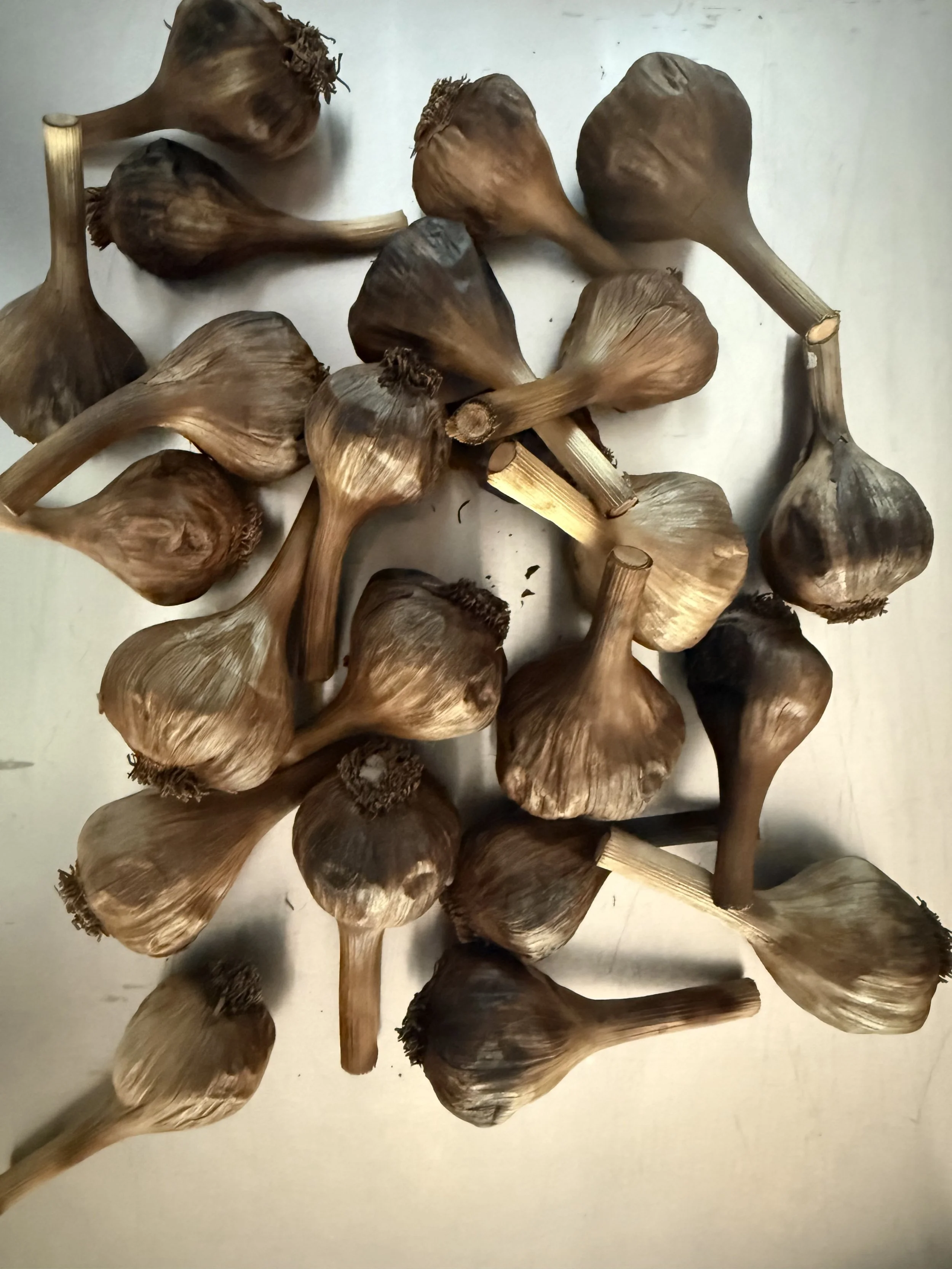 black garlic 16 oz.jpeg