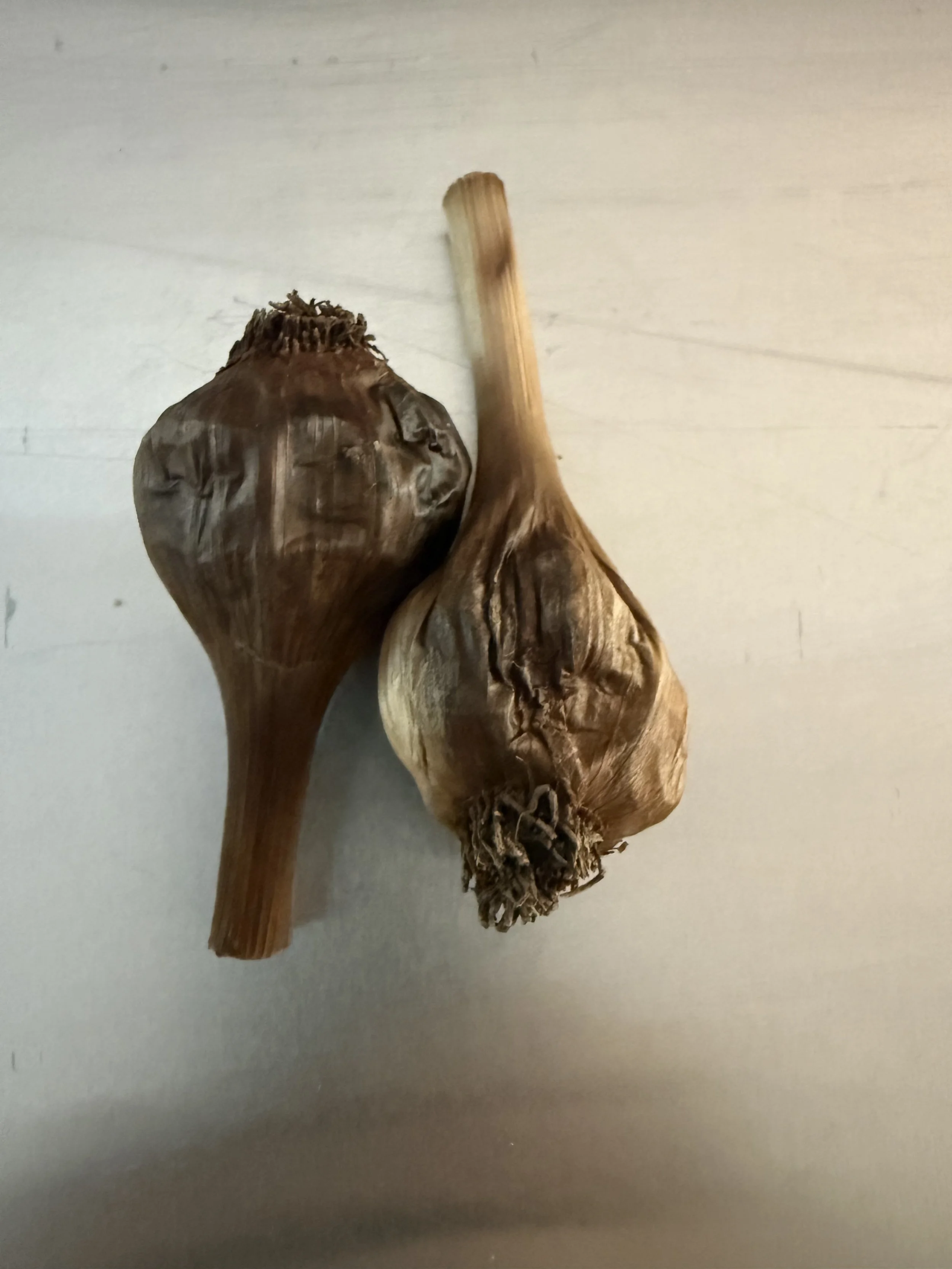 black garlic 1oz.jpeg