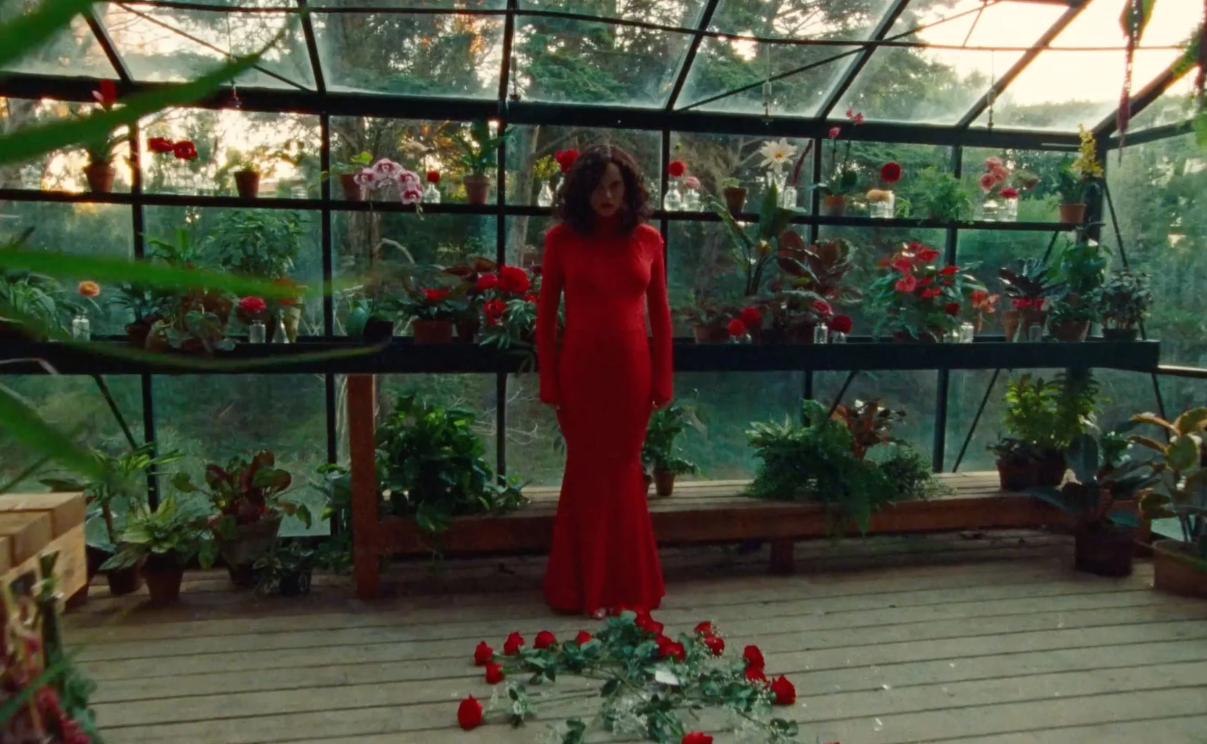 "OMG" SUKI WATERHOUSE