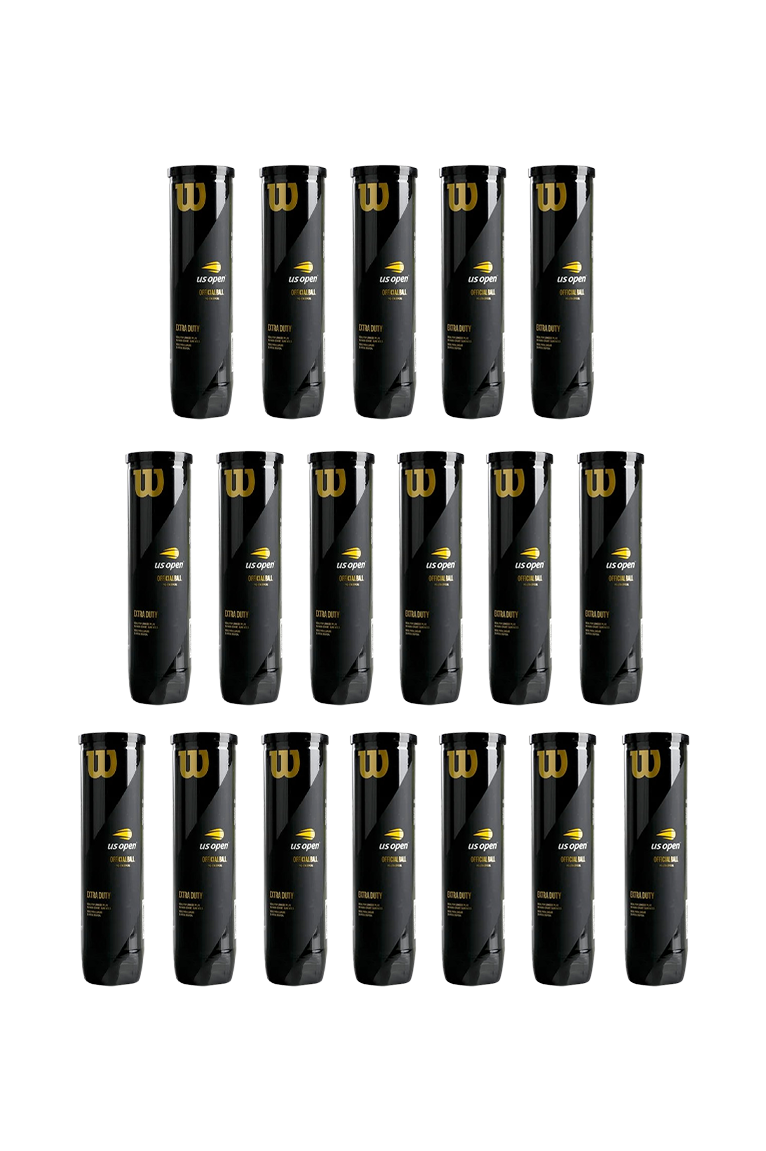 onyx origin - Wilson US Open 18 can 03.png