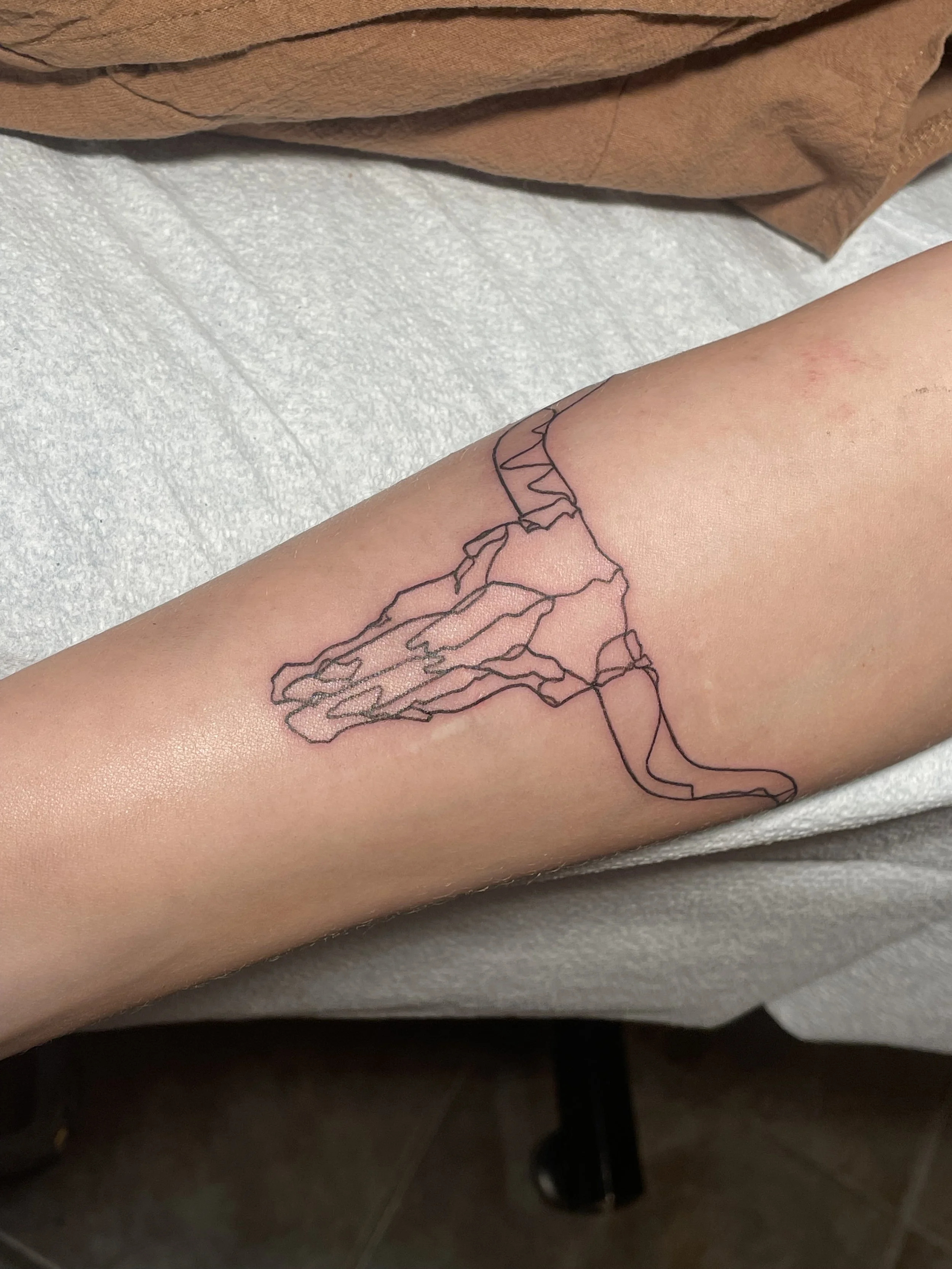 Photo Sep 26 2023, 1 05 59 PM.jpg