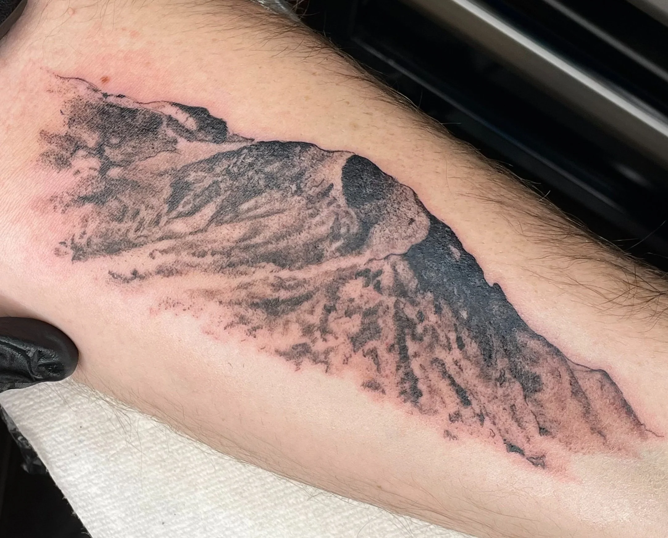 silver mountain (raw)